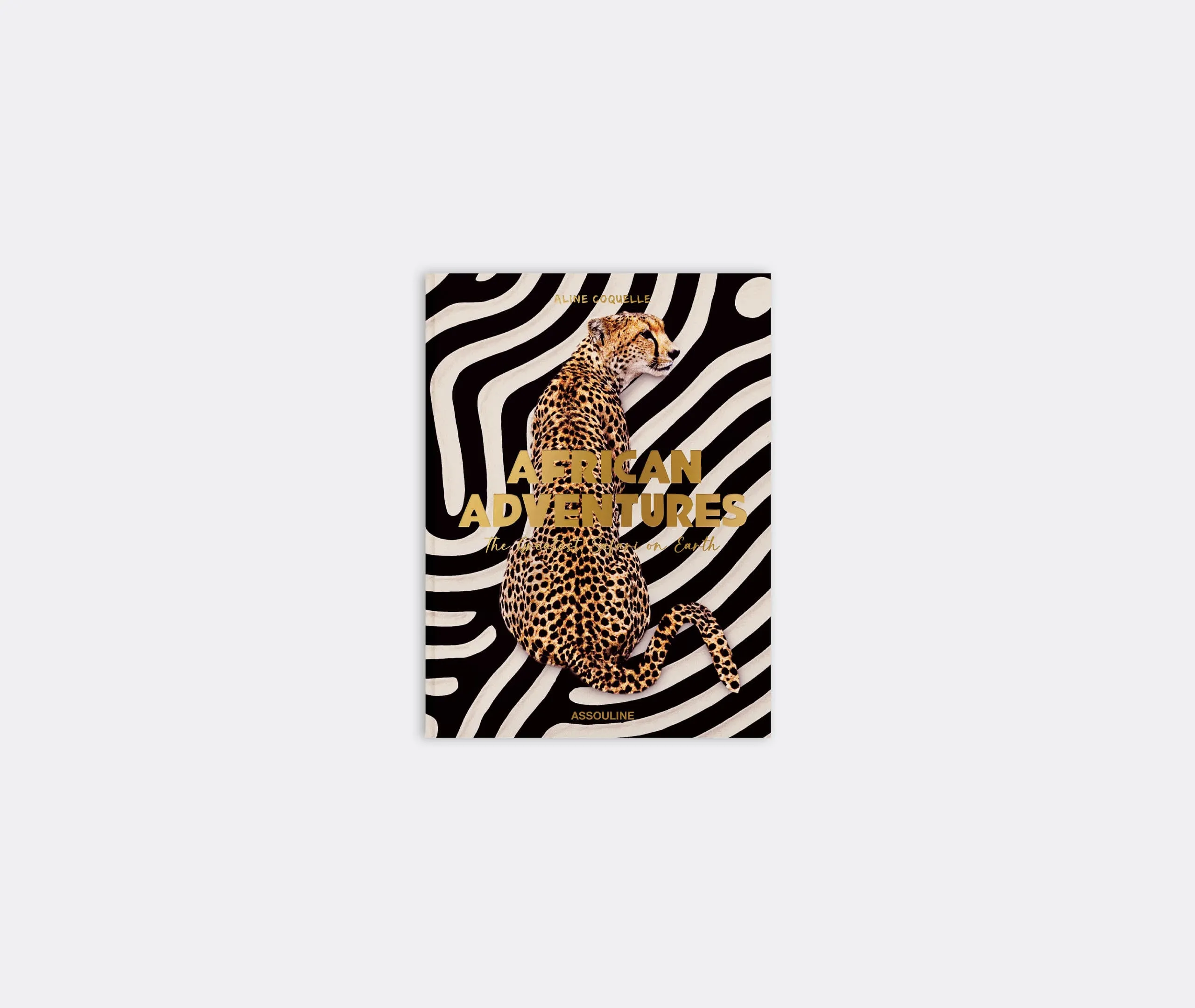 African Adventures Book - Multicolour product
