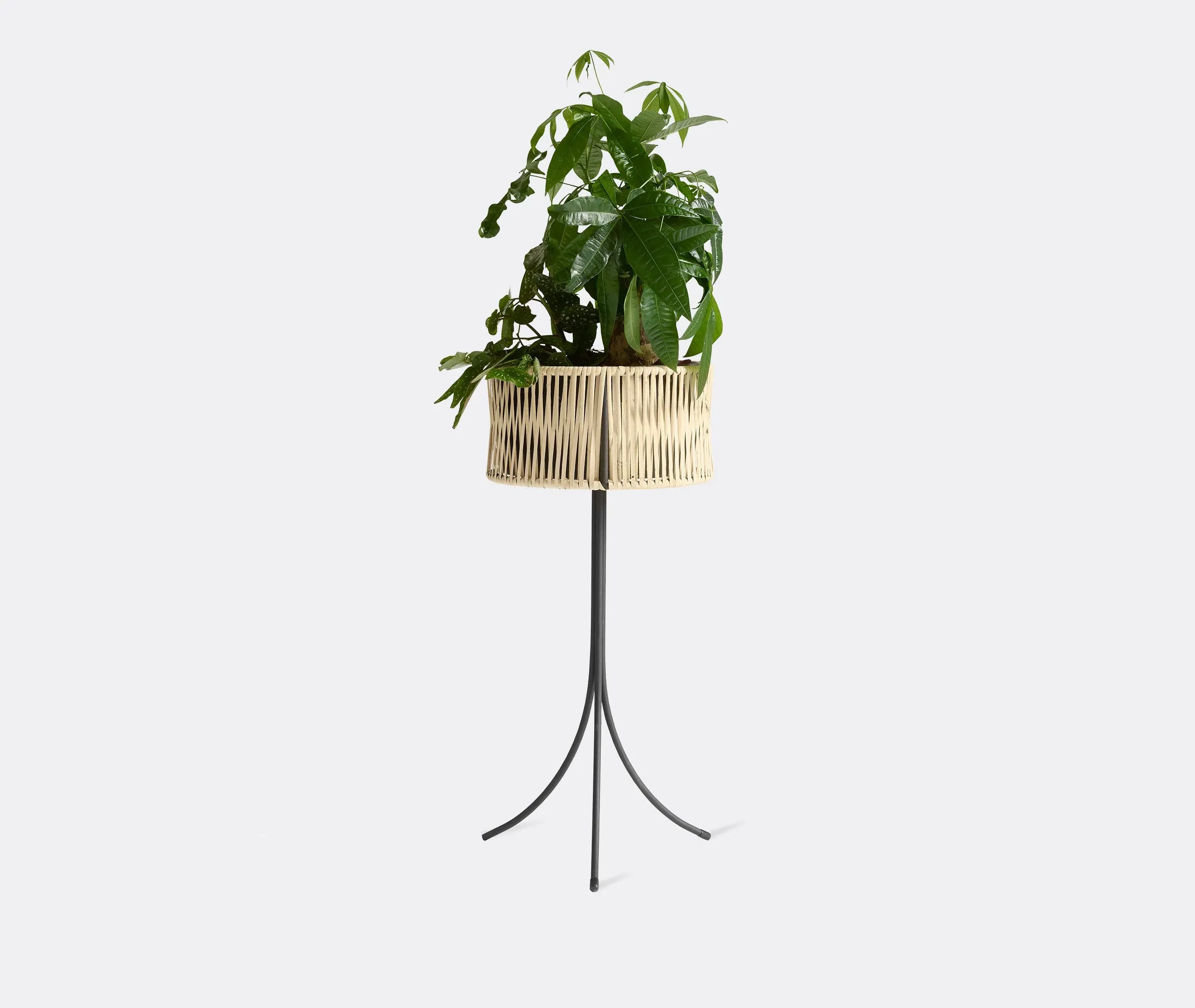Large Planter Stand - Black, Rattan