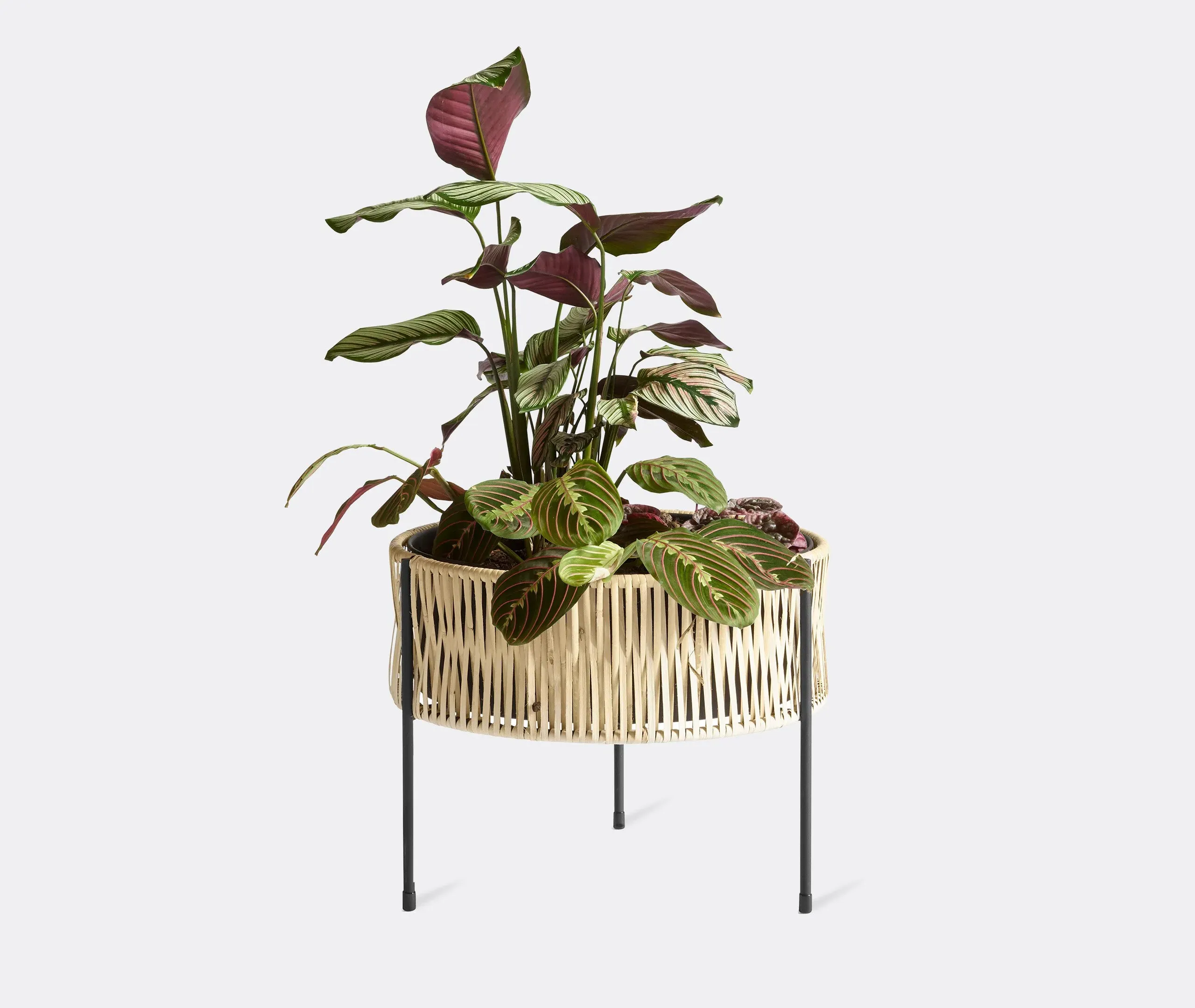 Medium Planter Stand - Black, Rattan