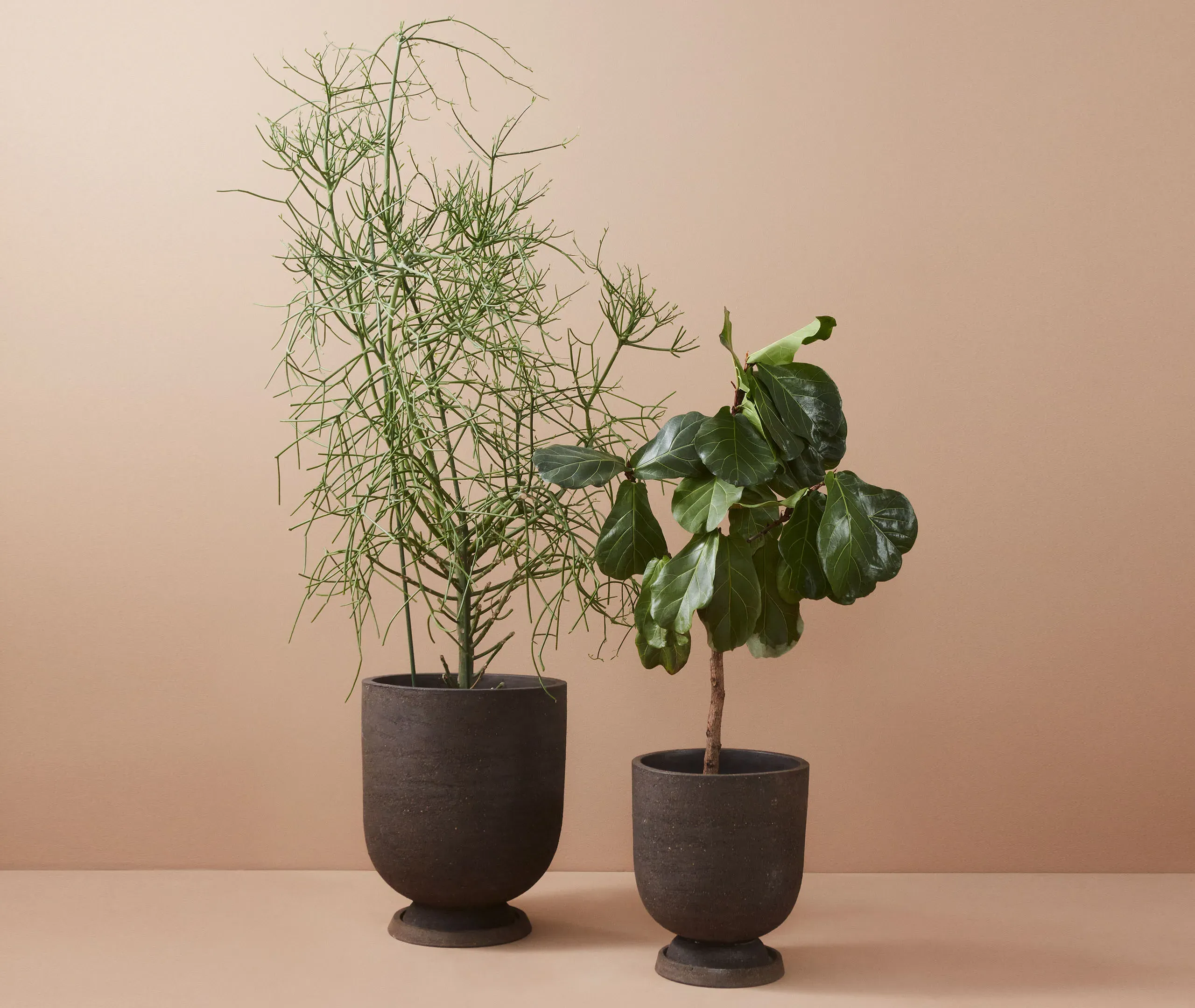 Terra Tall Flowerpot - Java Brown, Clay alternate view