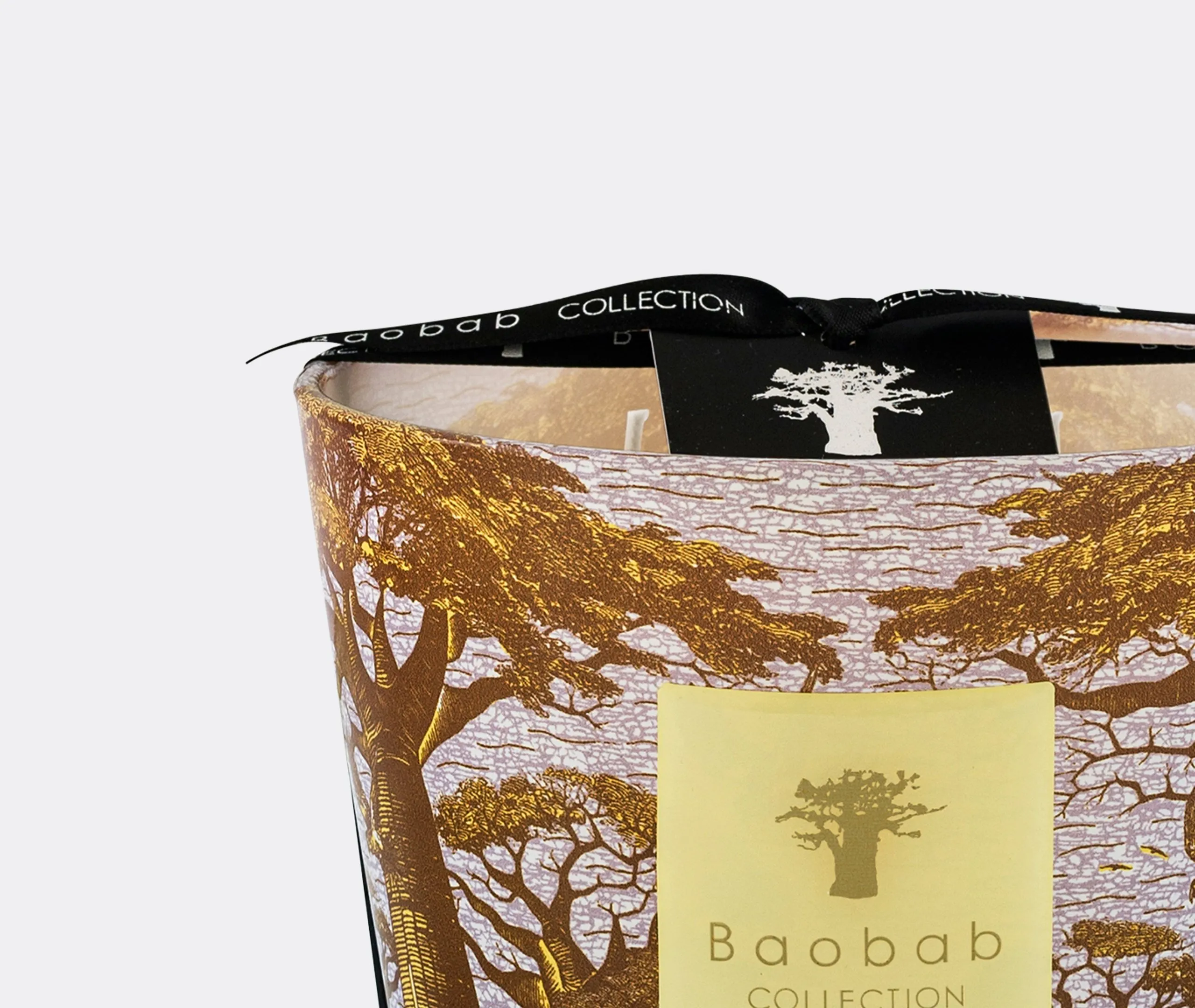 Small Scented Candle Sacred Trees - Multicolor, Glass