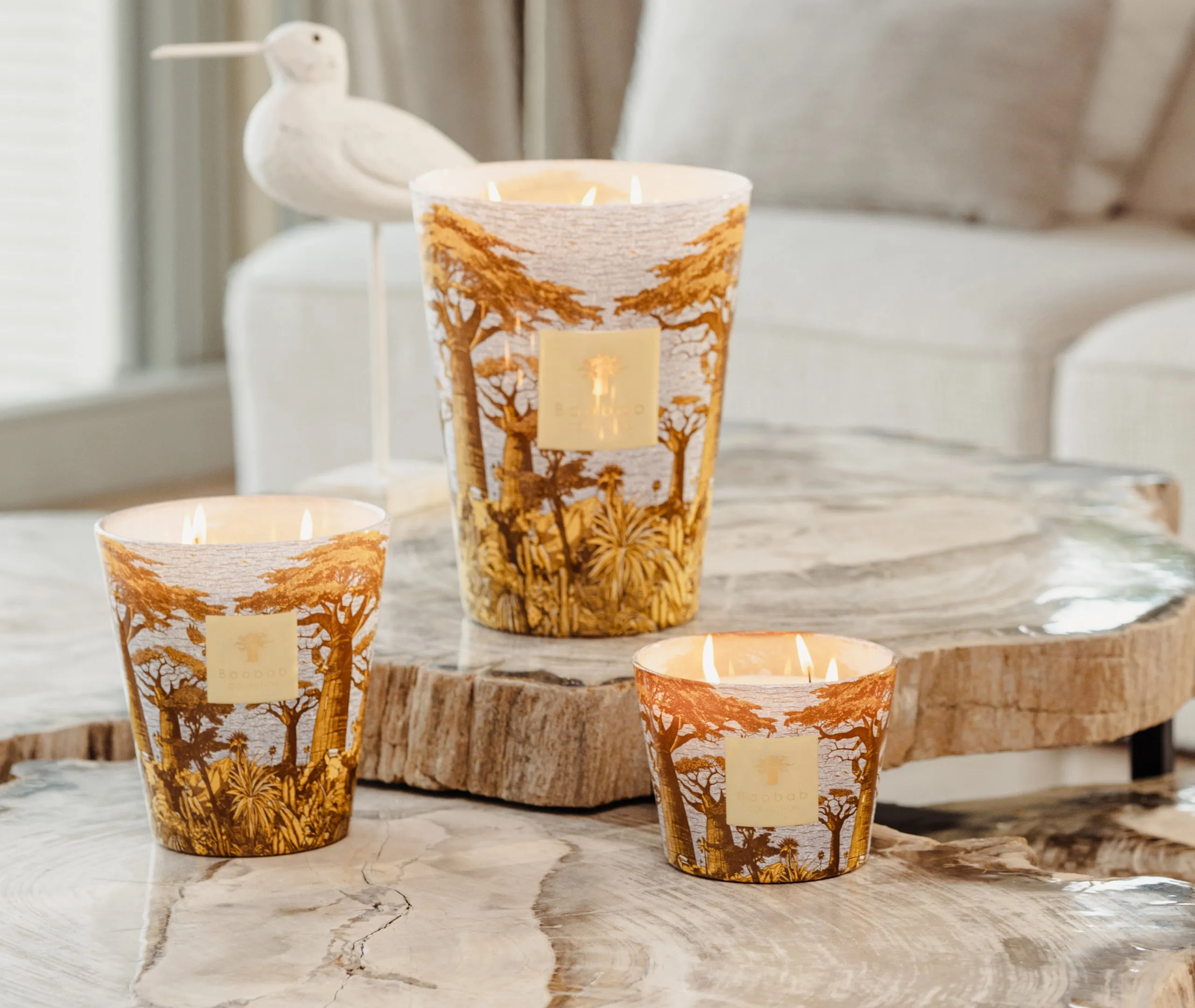 Small Scented Candle Sacred Trees - Multicolor, Glass