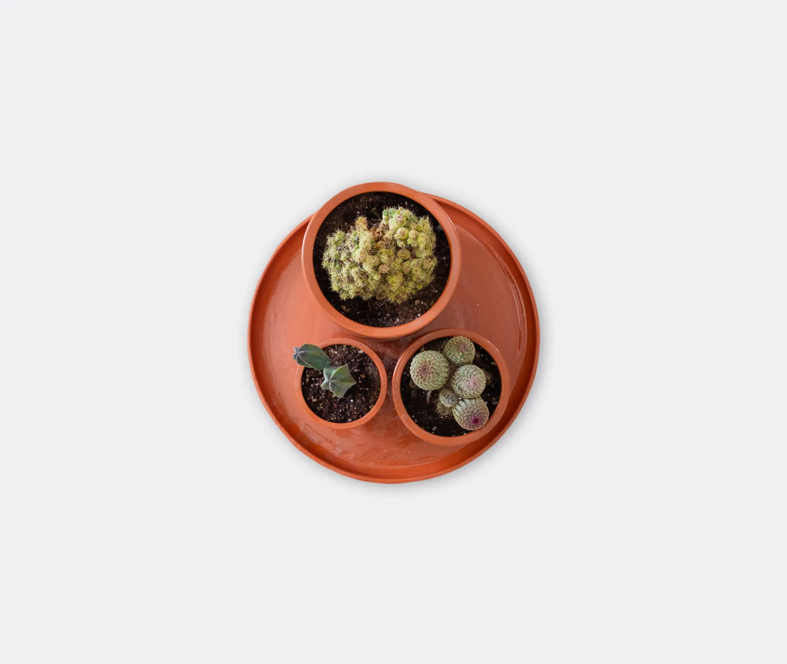 3-Pot Set with Saucer - Terracotta, Earthenware