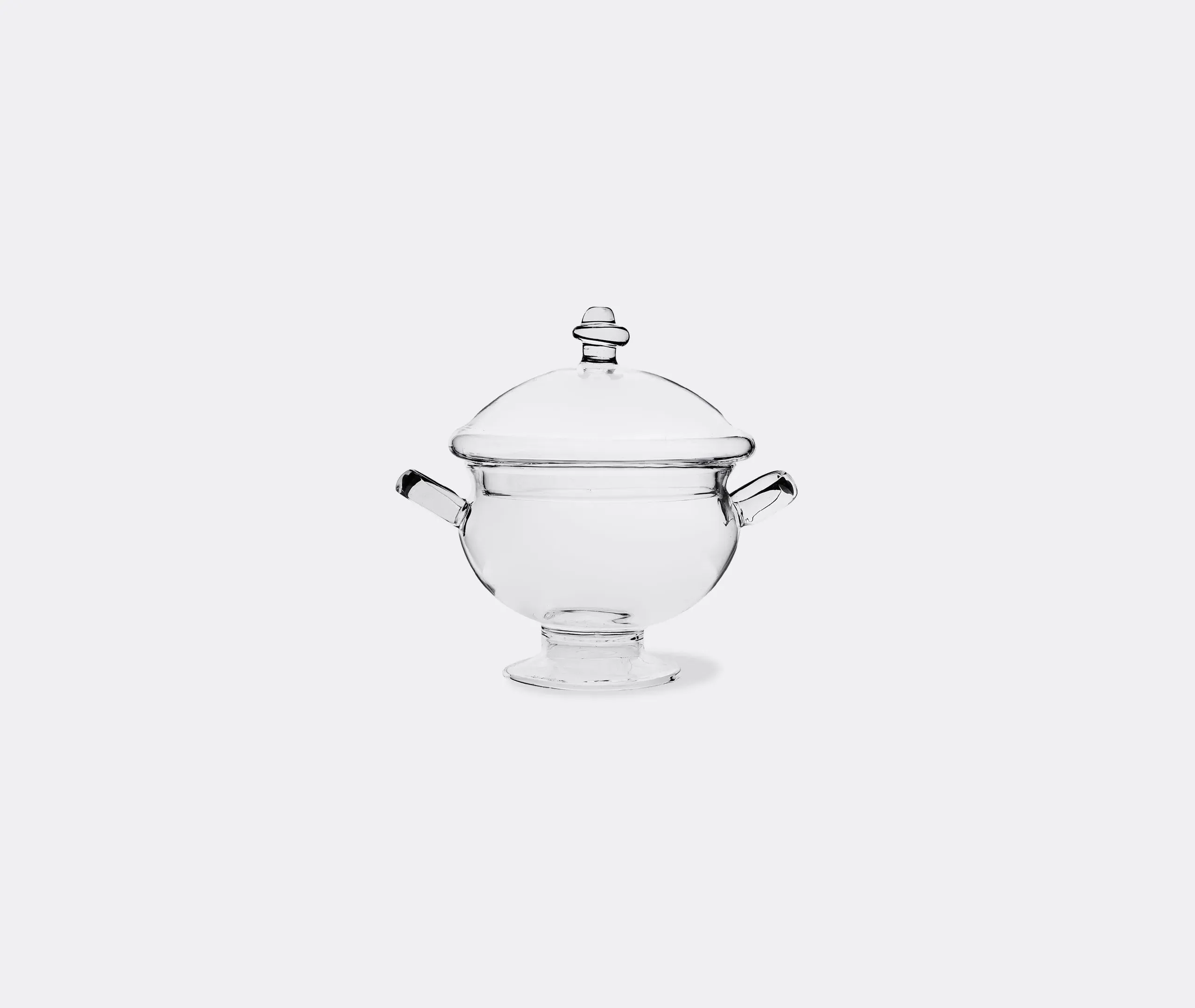 Small Potiche Vase - Clear, Borosilicate Glass image