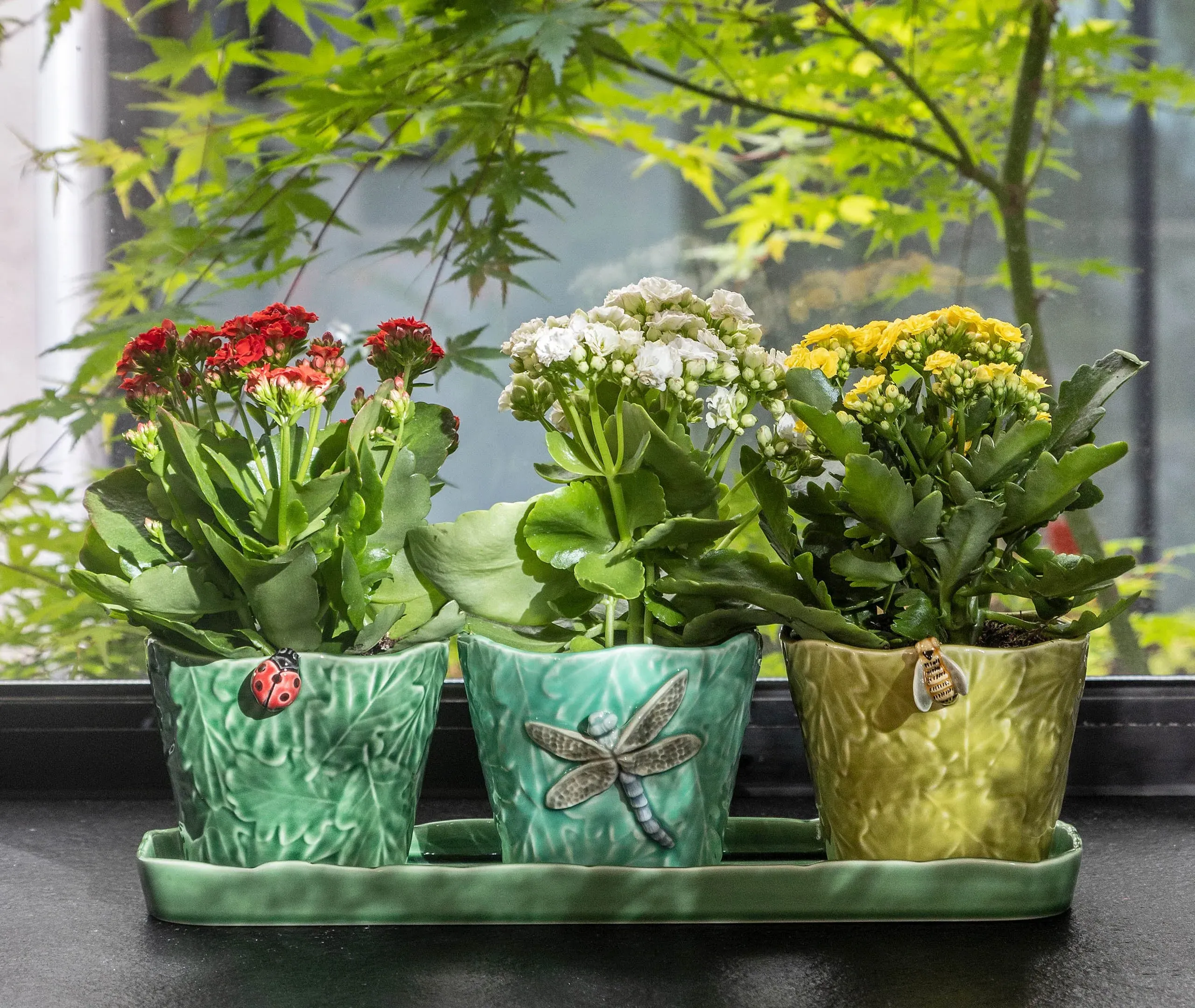 3-Piece Vase Set with Flying Insects - Multicolour