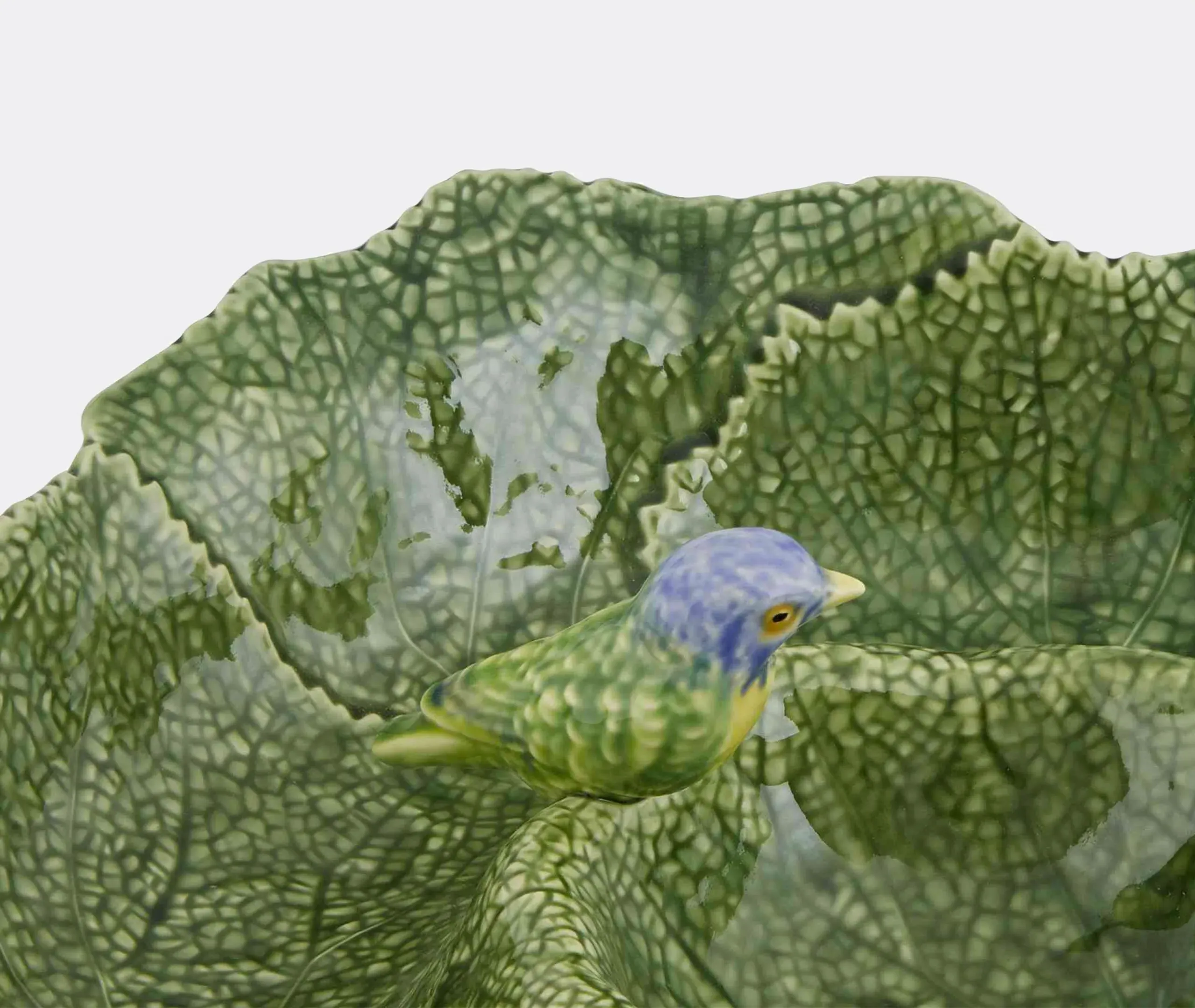 Cinerária Appetizer Plate - Green