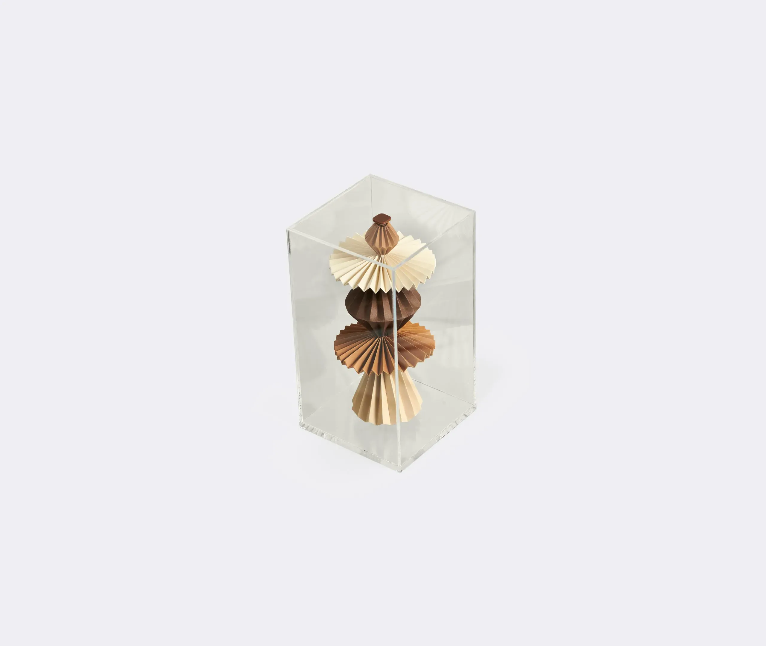 Elements Sculpture in Acrylic Box - Beige, Paper