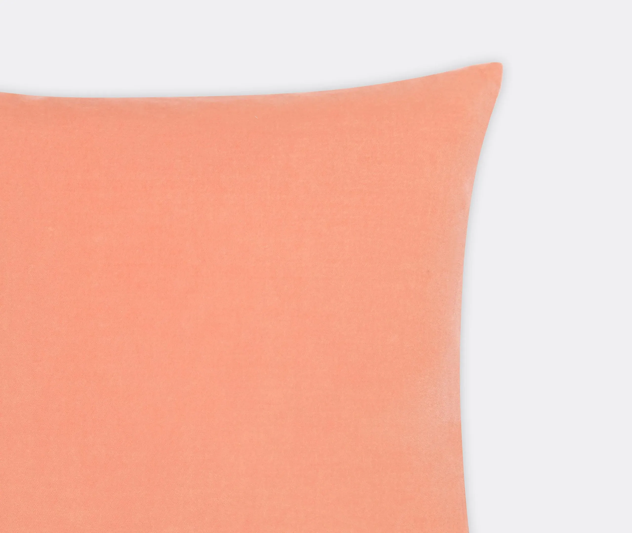 Basic Square Cushion - Wild Rose, Velvet