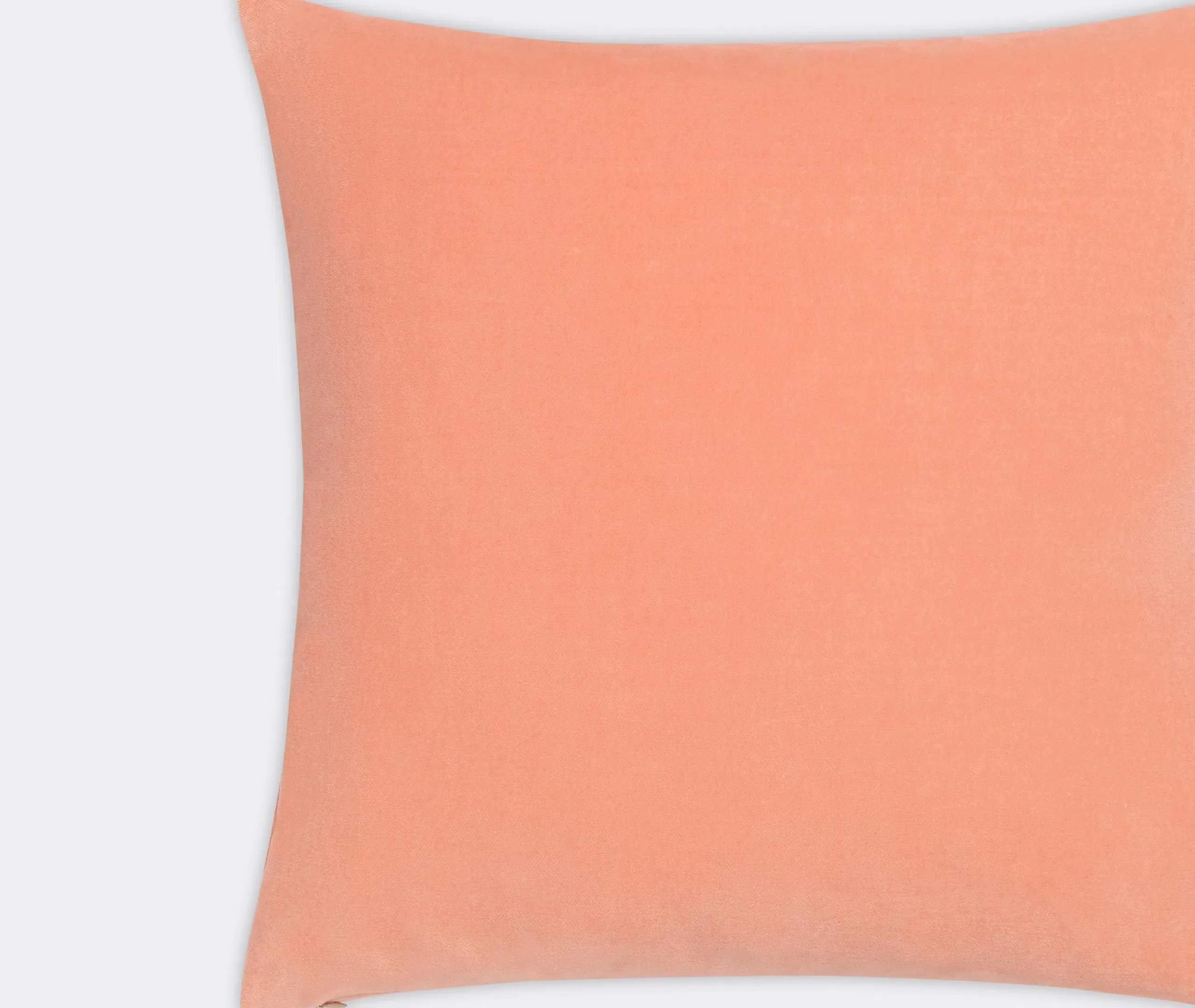 Basic Square Cushion - Wild Rose, Velvet