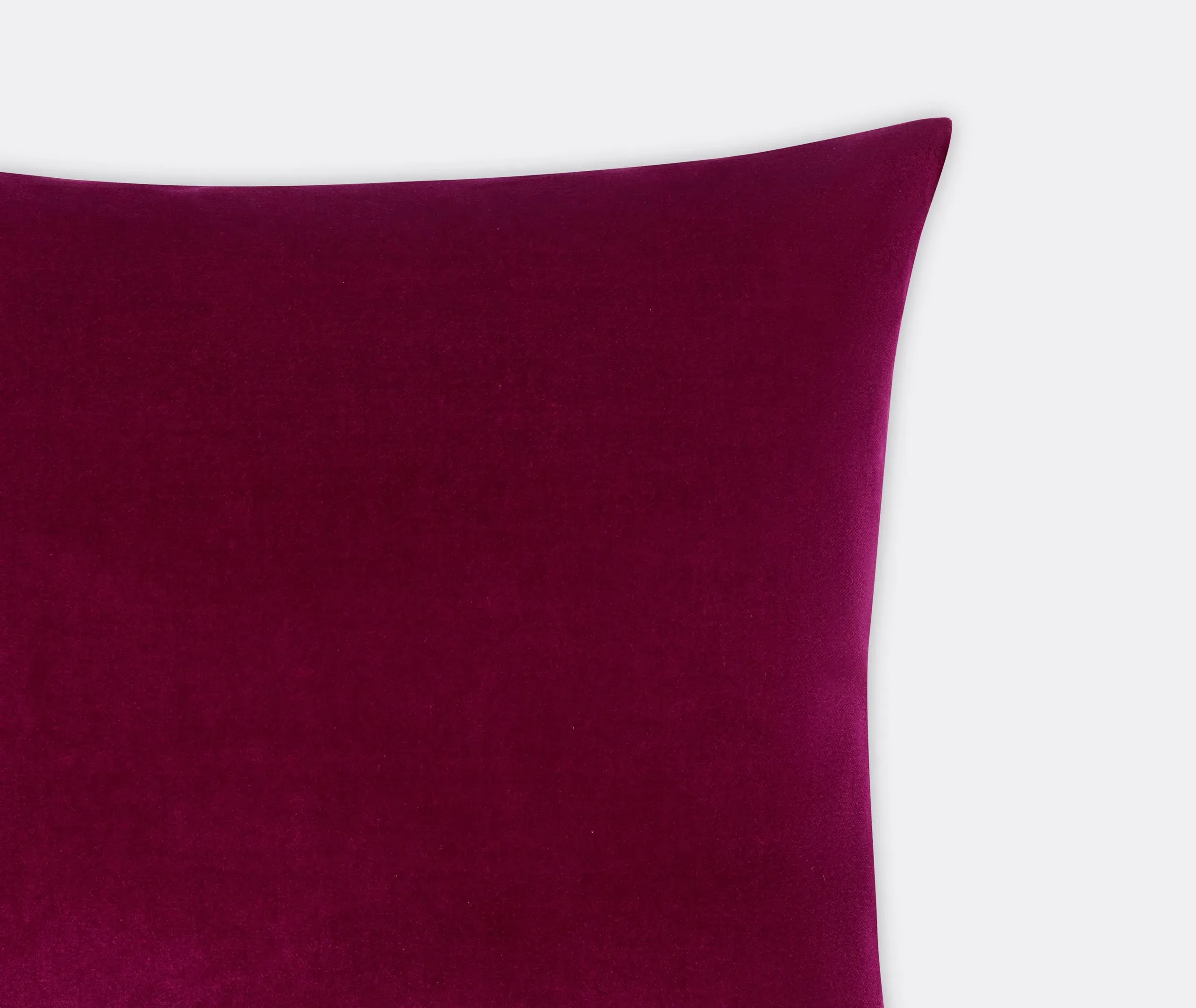 Square Cushion Cover - Anemone, Velvet