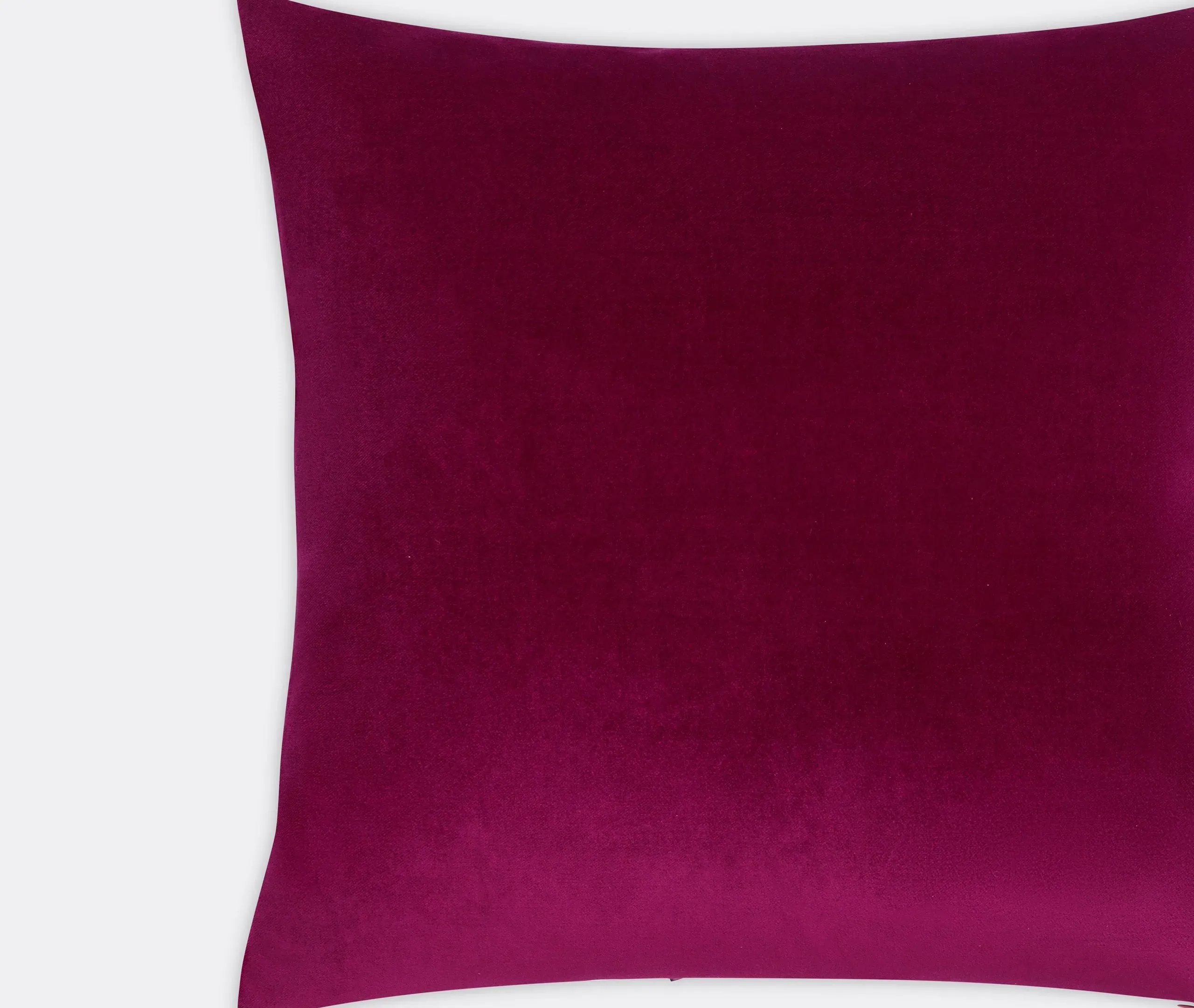 Square Cushion Cover - Anemone, Velvet