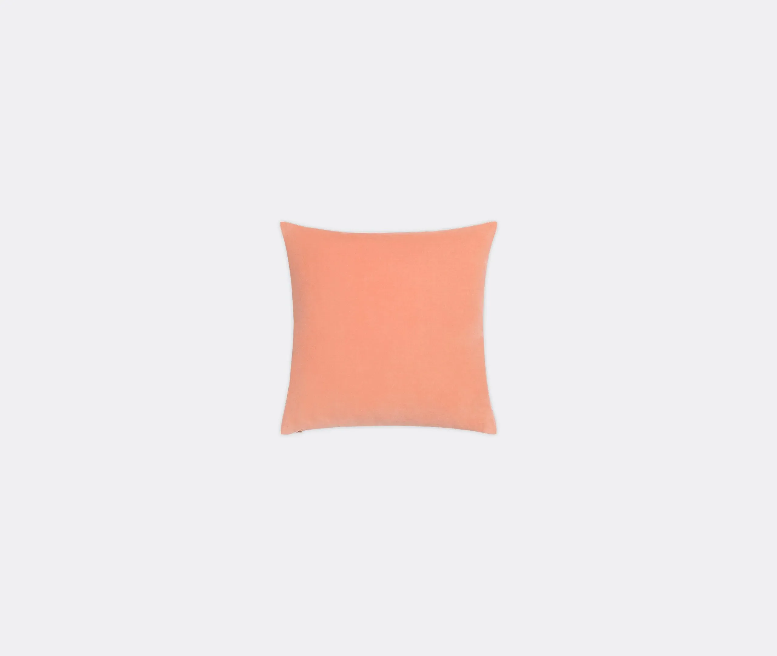 Square Cushion Cover - Wild Rose, Velvet