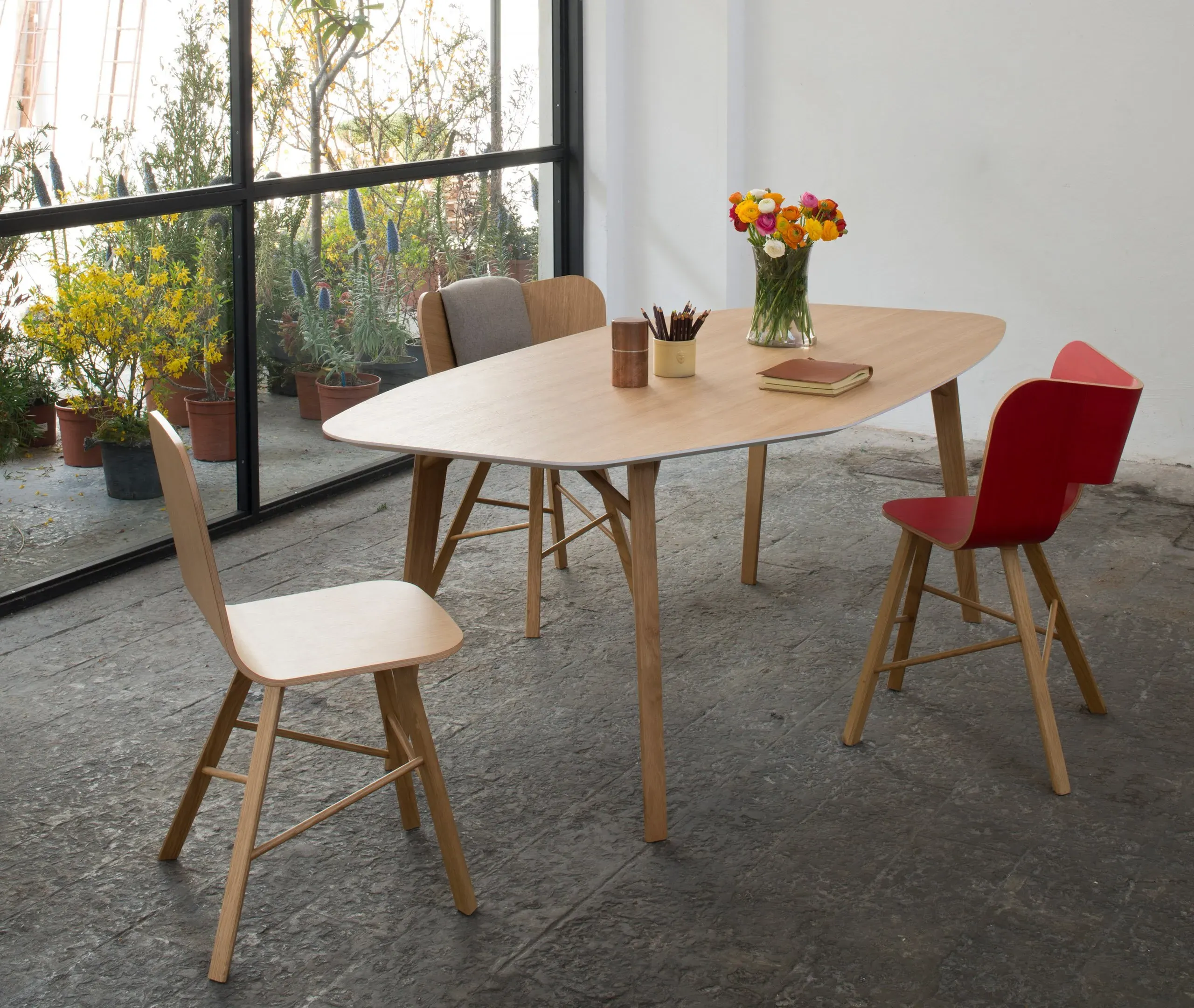 Tria Chair with Ribbon Backrest - Red, Ash Wood
