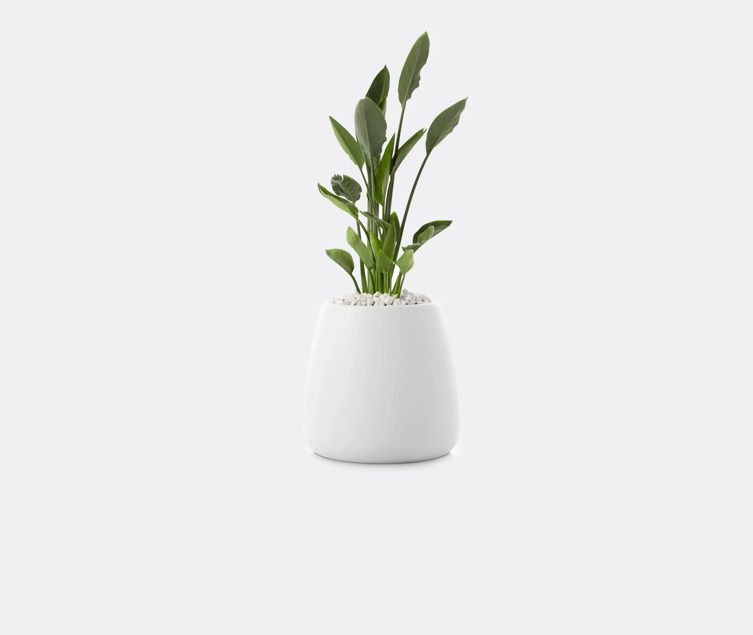 Gobi 1 Planter - White, Polyethylene