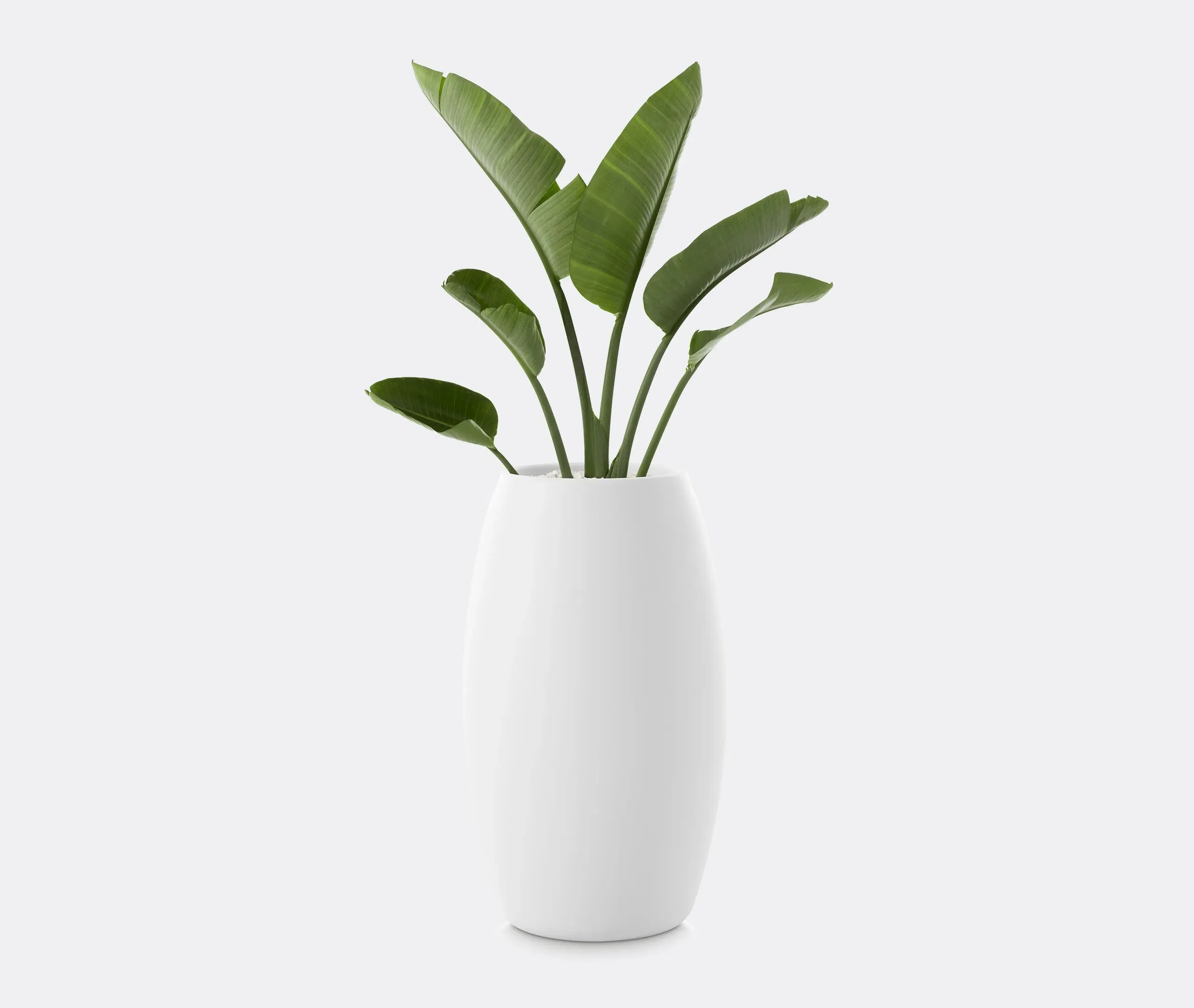 Gobi 2 Planter - White, Polyethylene