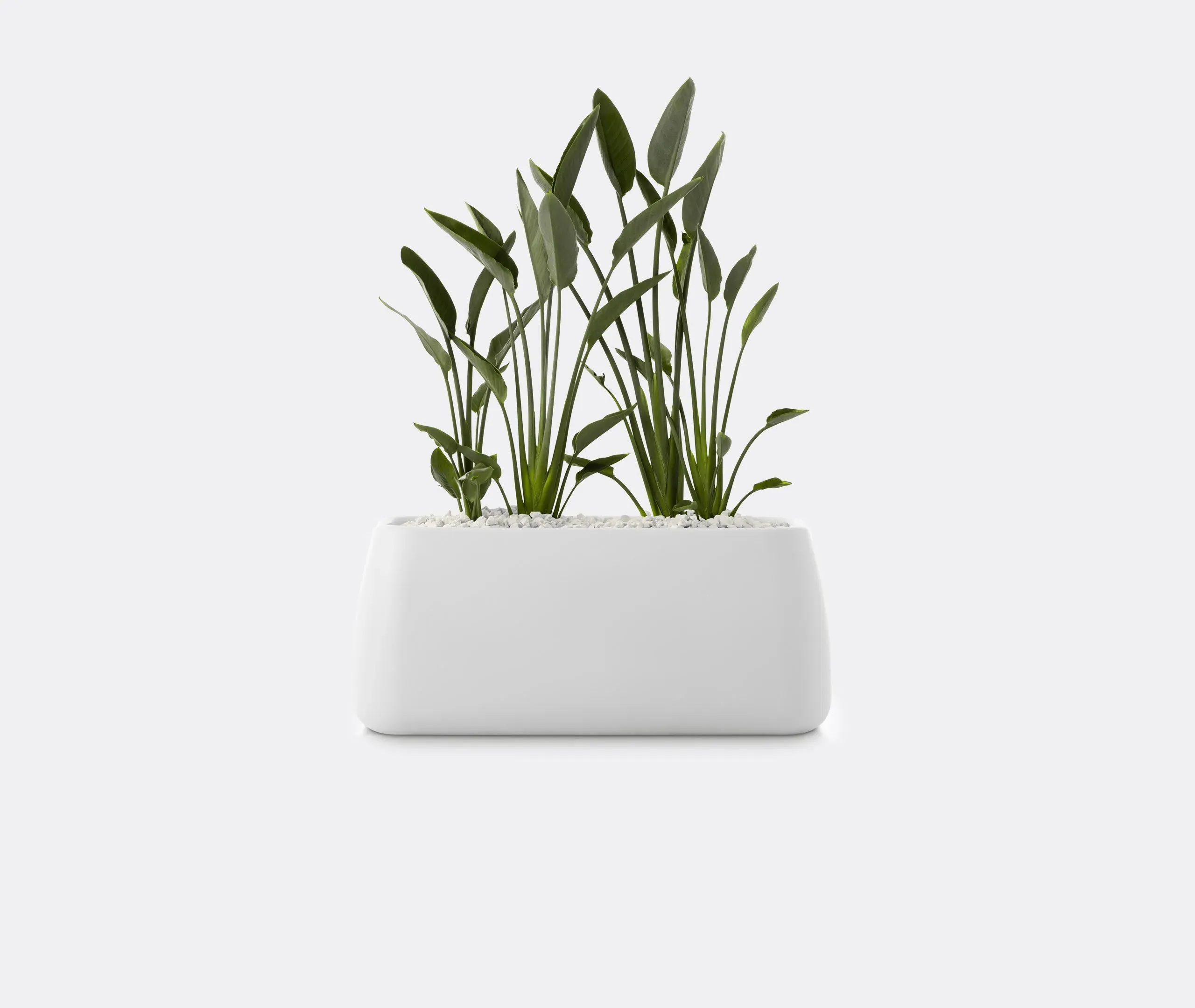 Gobi 5 Planter - White, Polyethylene