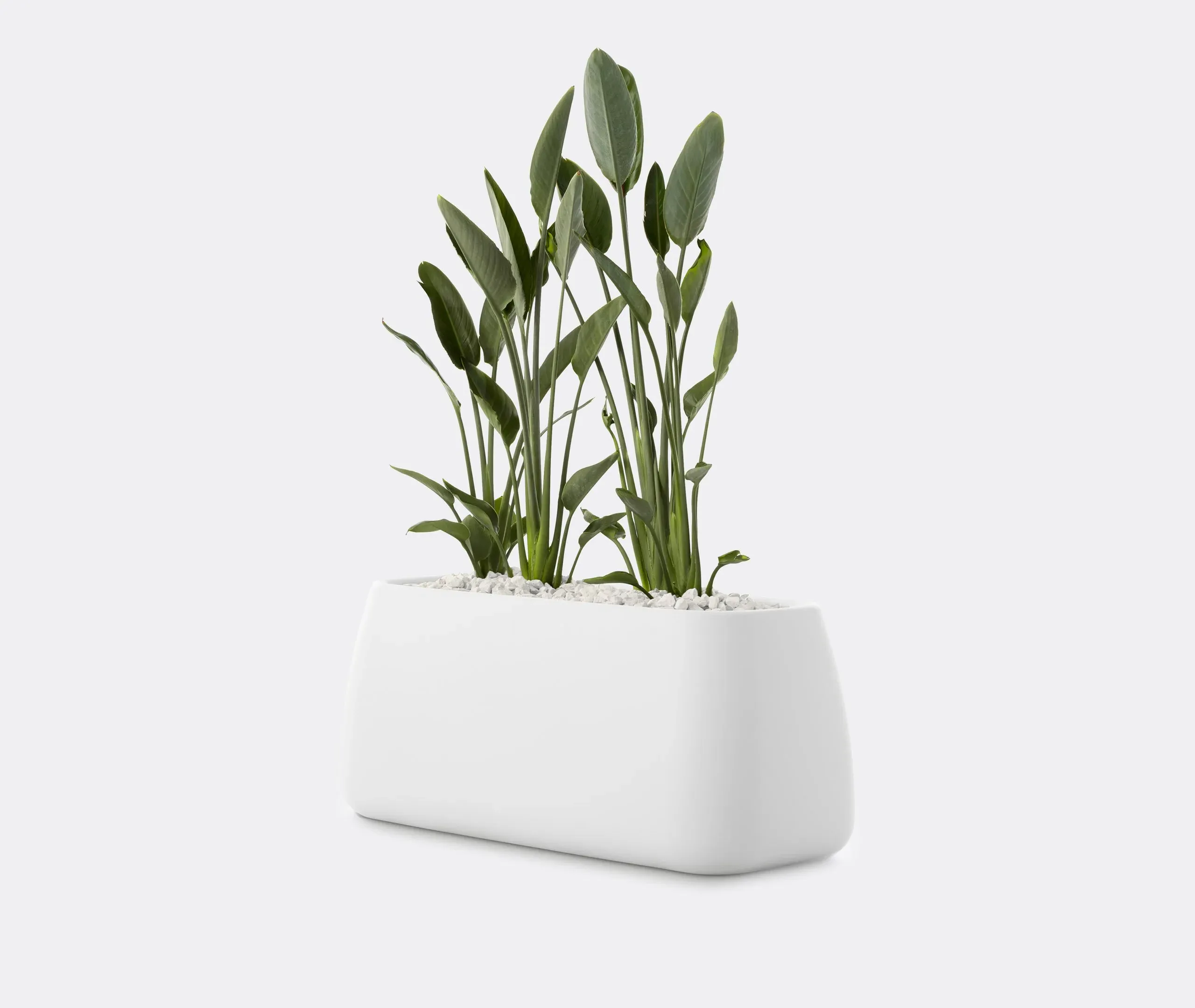 Gobi 5 Planter - White, Polyethylene