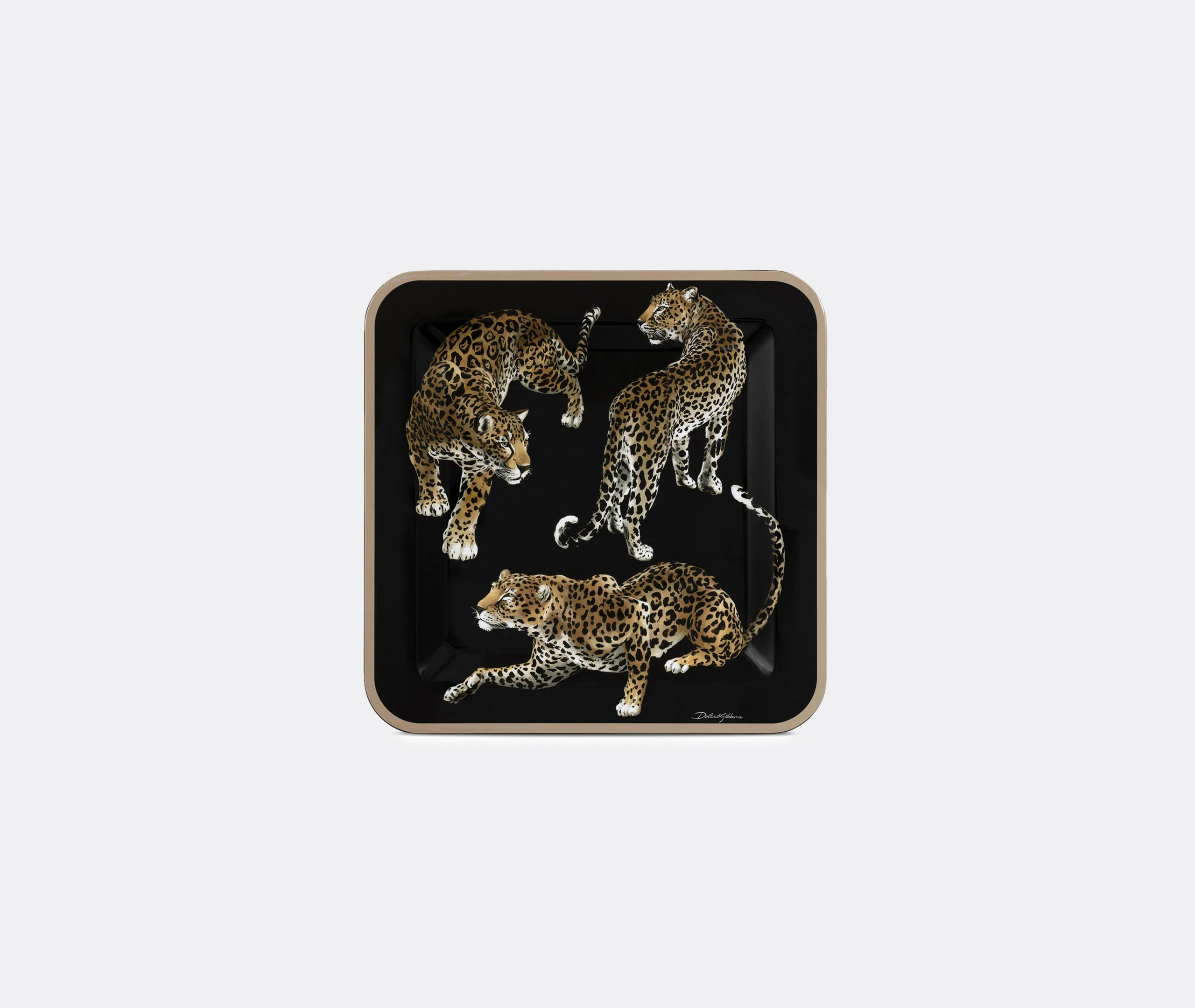 Leopardo Medium Square Lacquered Wooden Tray - Multicolor product