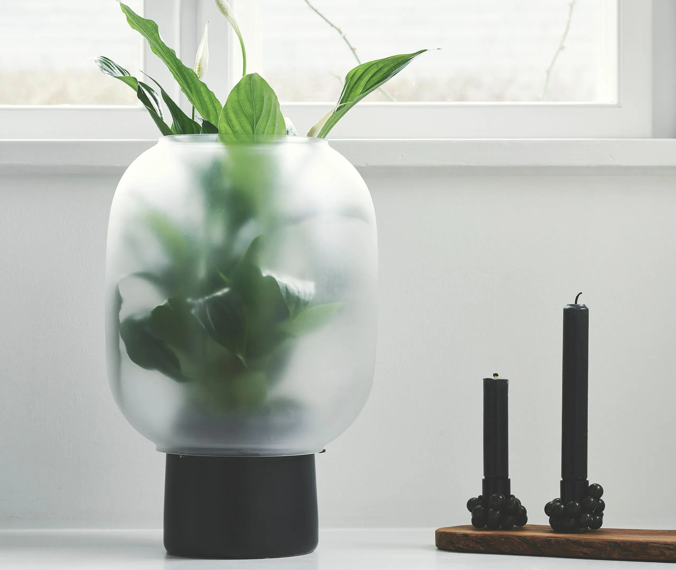 Flowerpot with Glass Cloche - Black