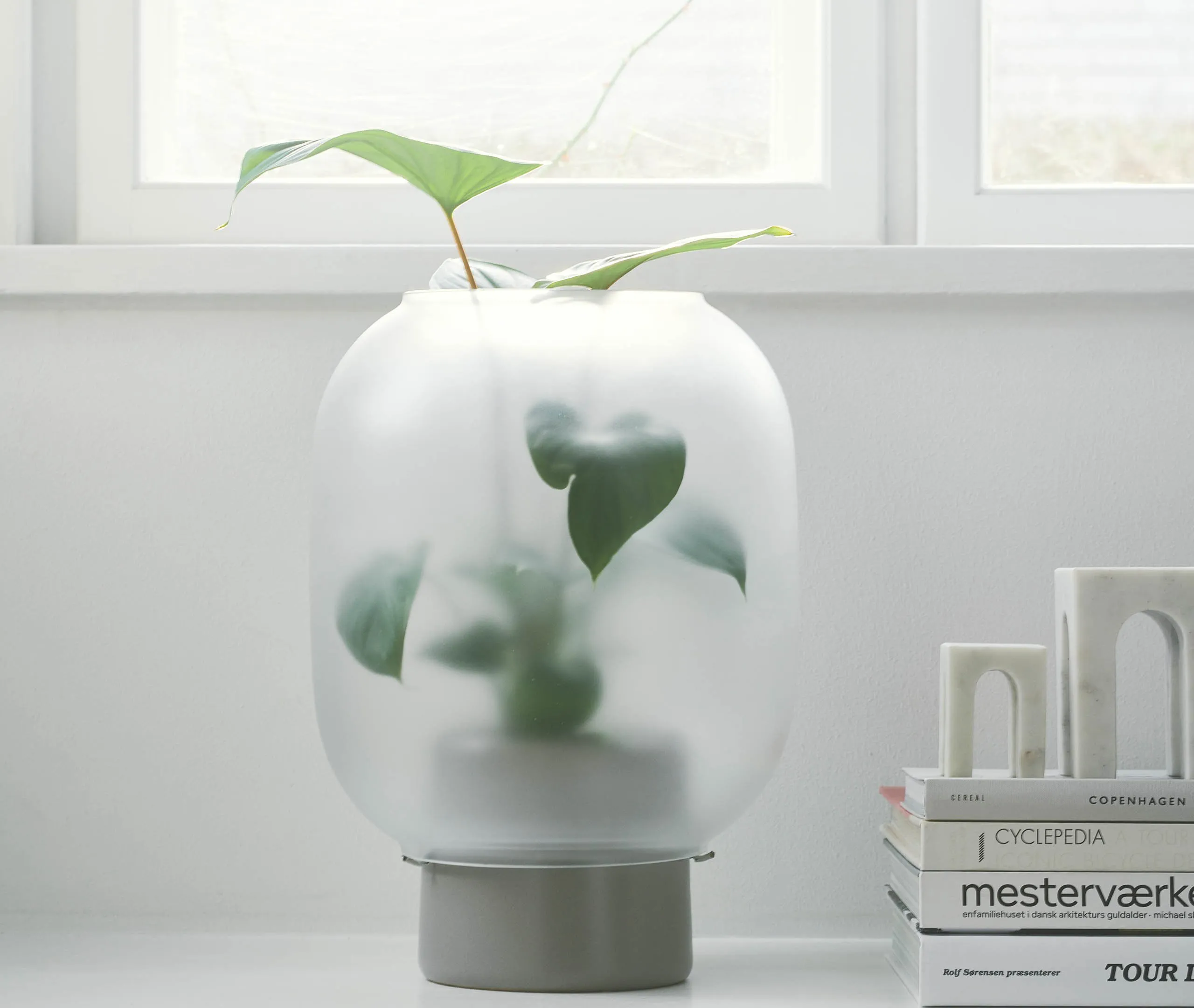Flowerpot with Glass Cloche - Grey