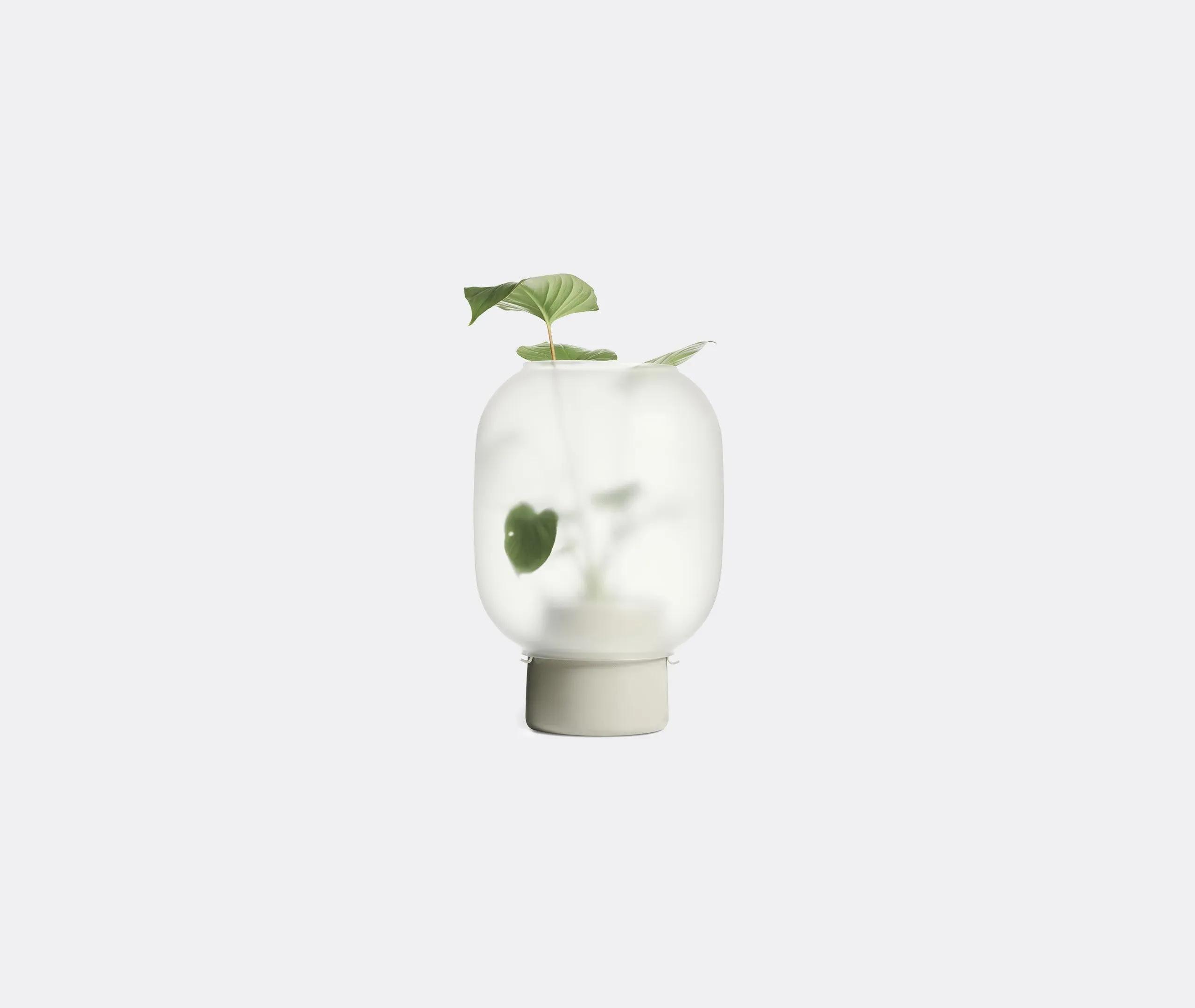 Flowerpot with Glass Cloche - Grey