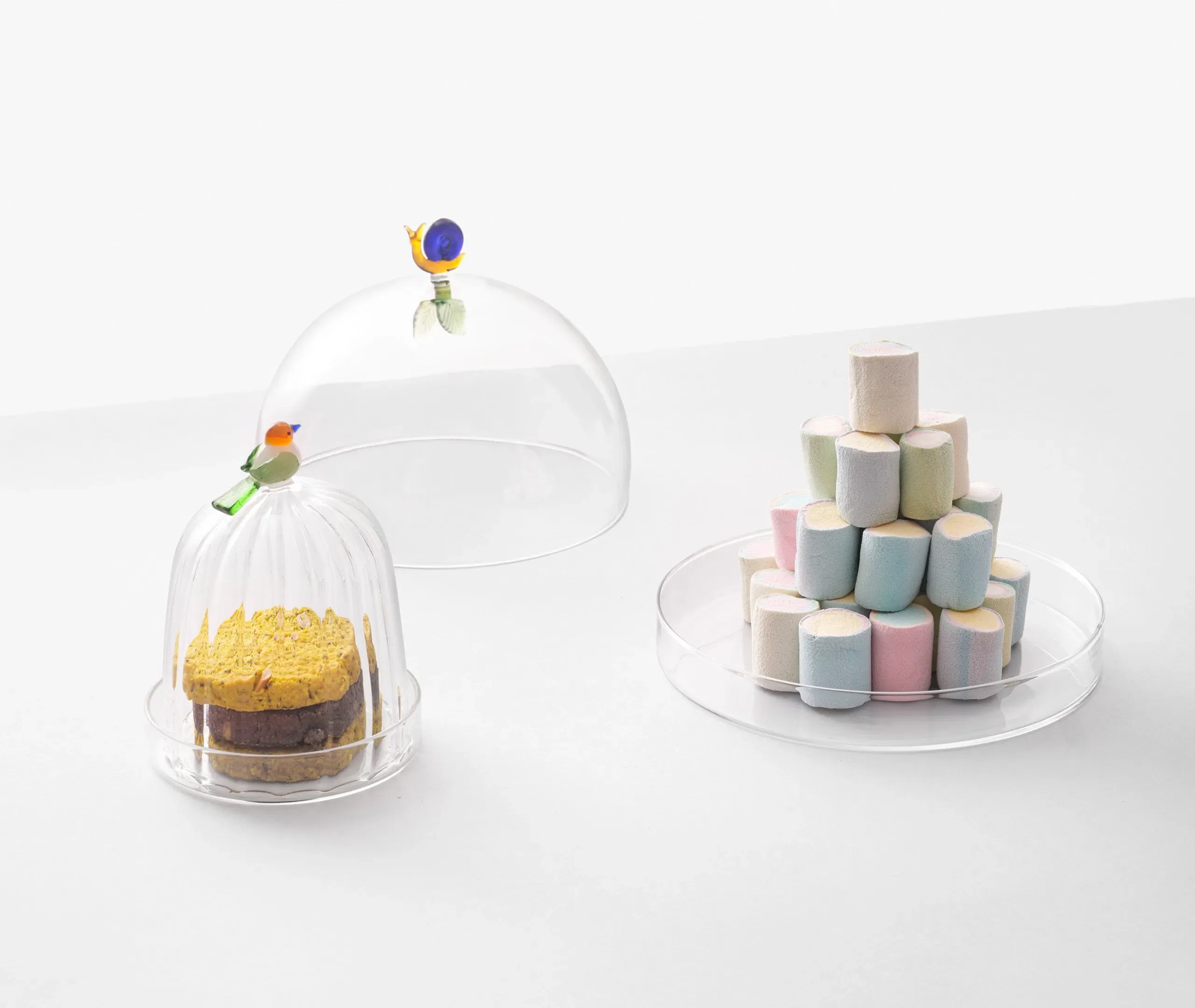 Animal Farm Snail Glass Dome with Dish - Multicolor