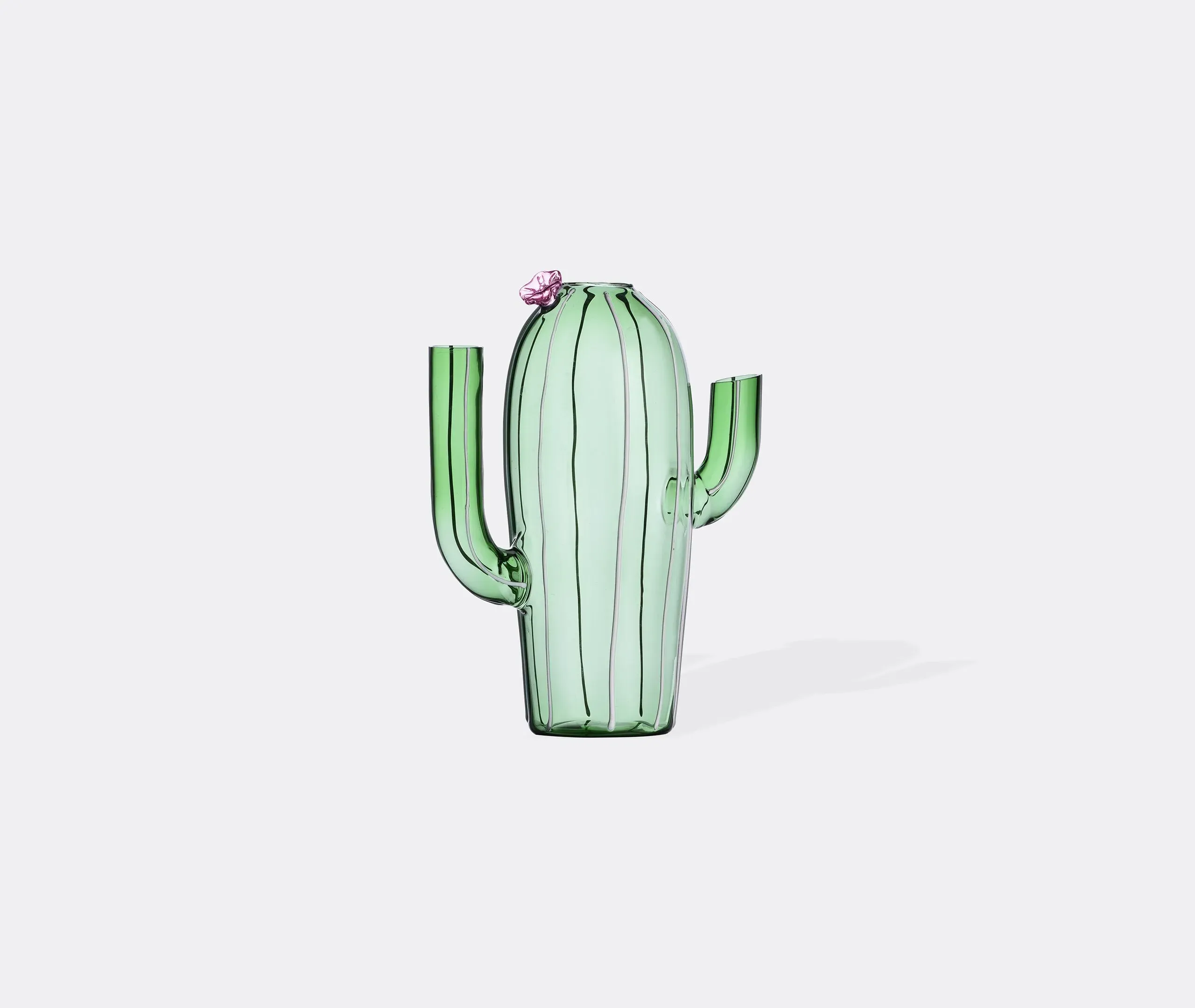 Cactus Water Jug - Multicolor, Borosilicate Glass
