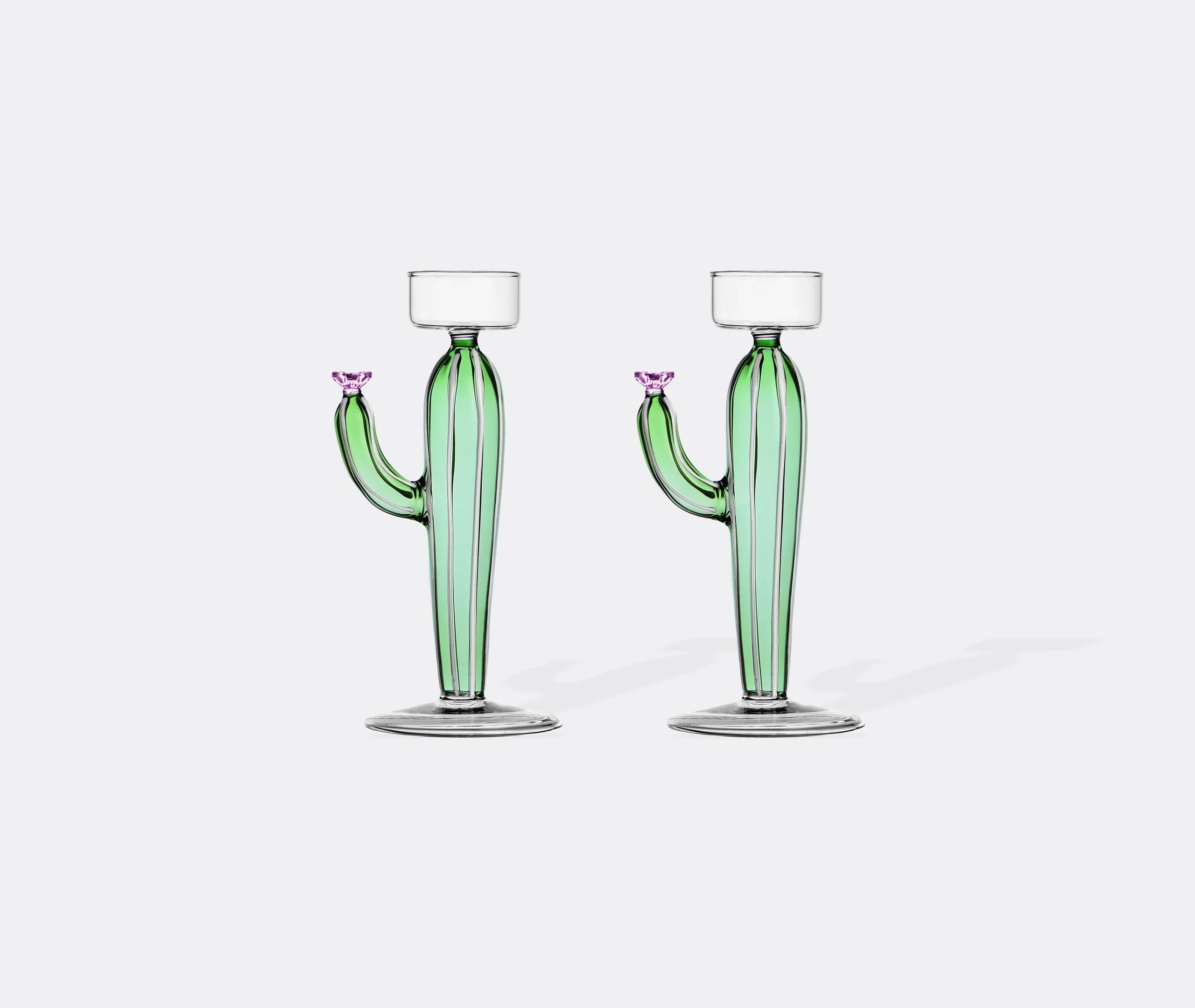 Desert Plants Set of 2 Tealight Holders - Multicolor, Borosilicate Glass product