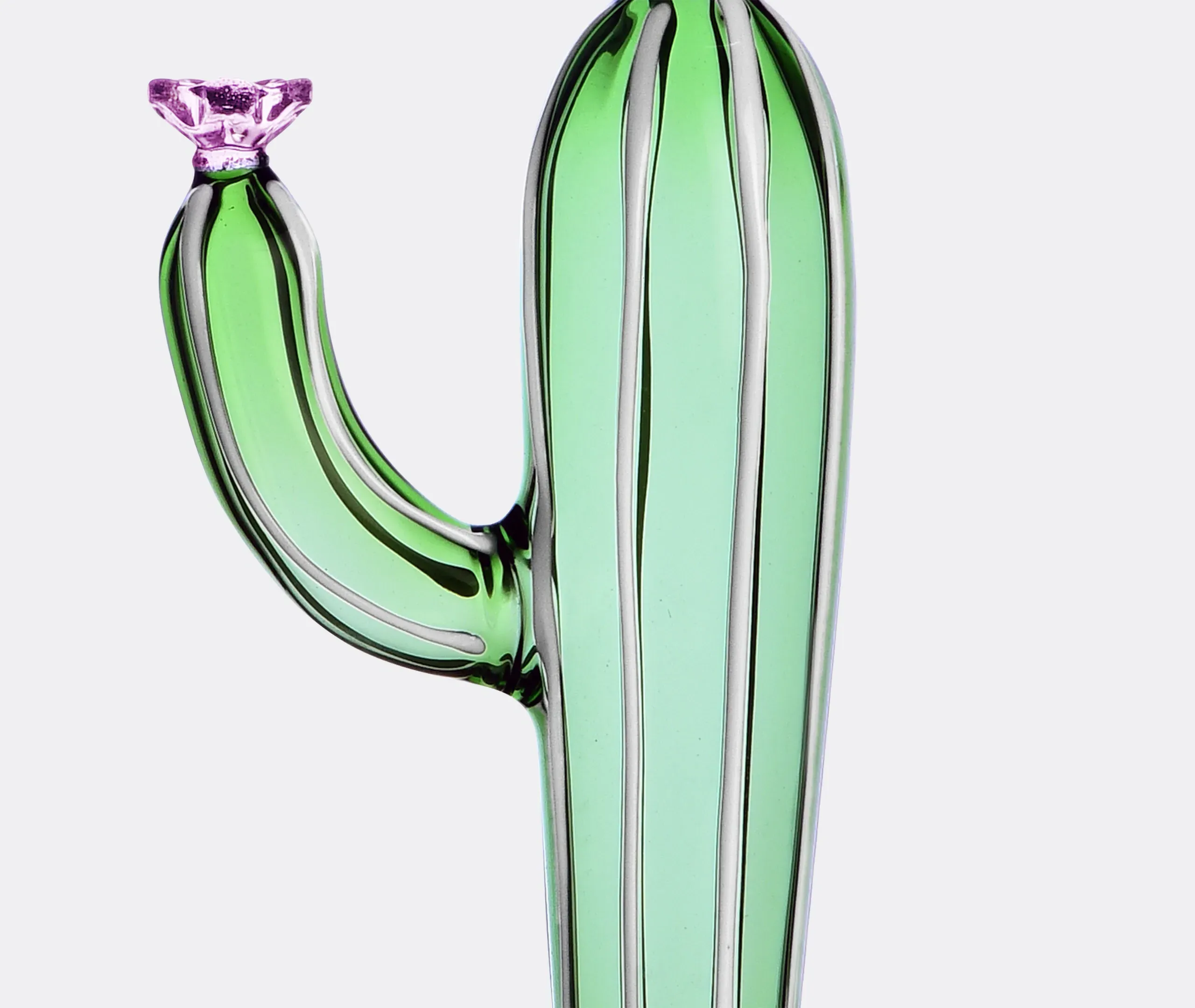 Desert Plants Tealight Set of 2 - Multicolor, Borosilicate Glass