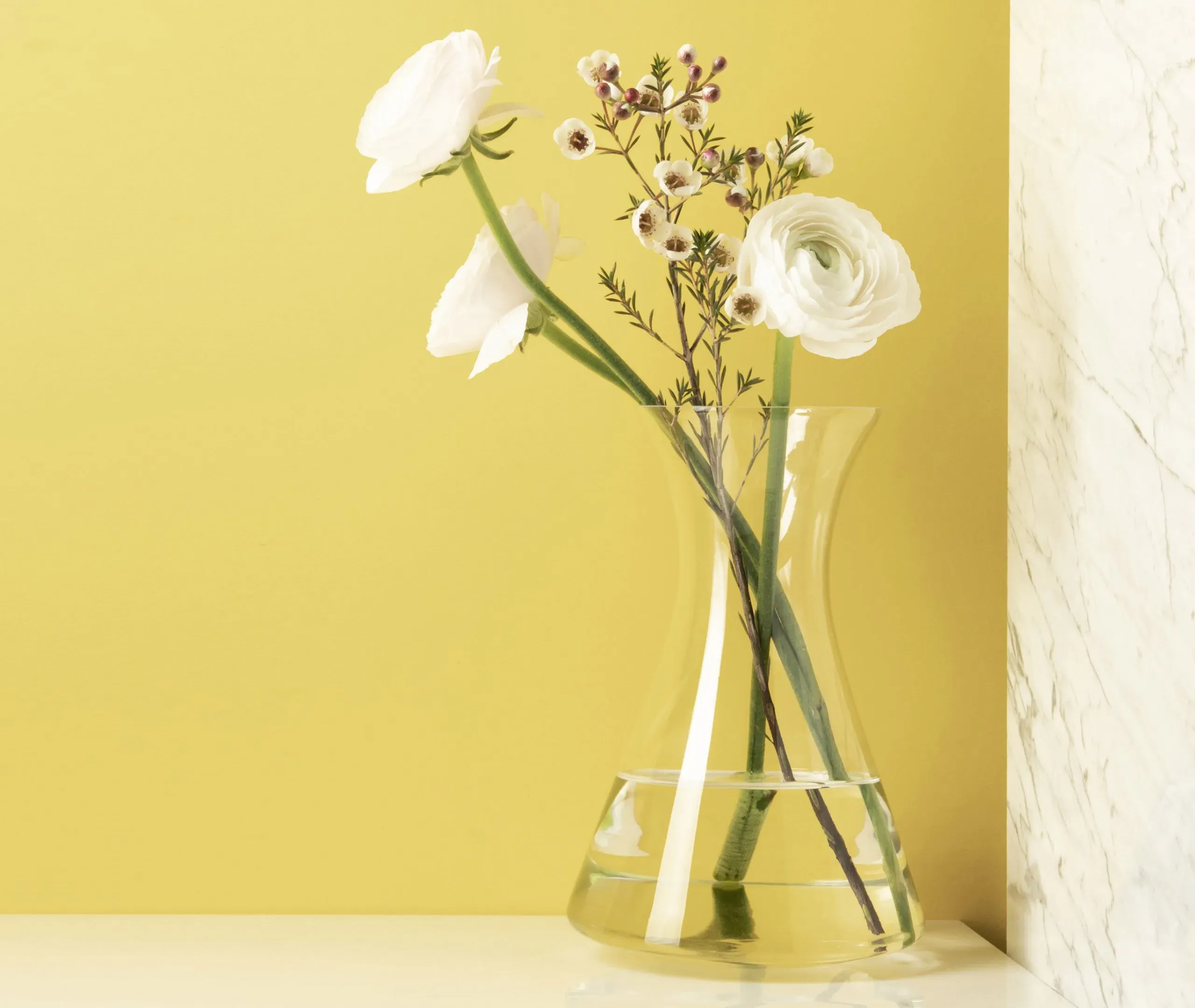 Stand Up Carafe - Transparent, Glass