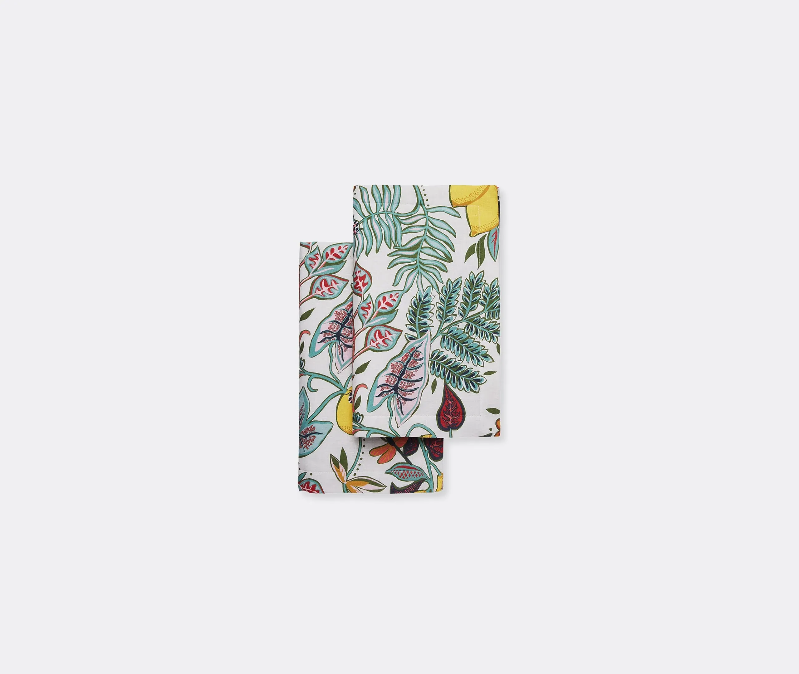 Botanical Tablemat Set of 2 - Multicolor, Linen