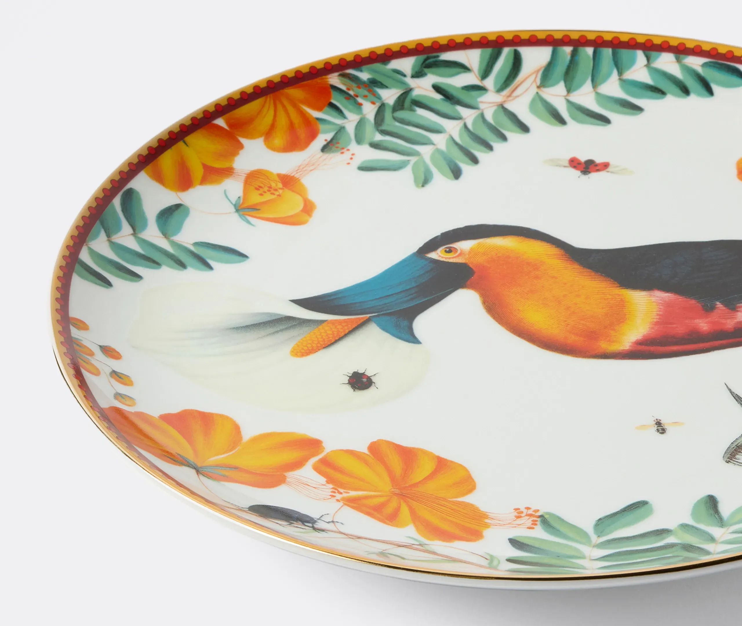 Floroucan Decorative Plate - Ivory, Porcelain alternate view
