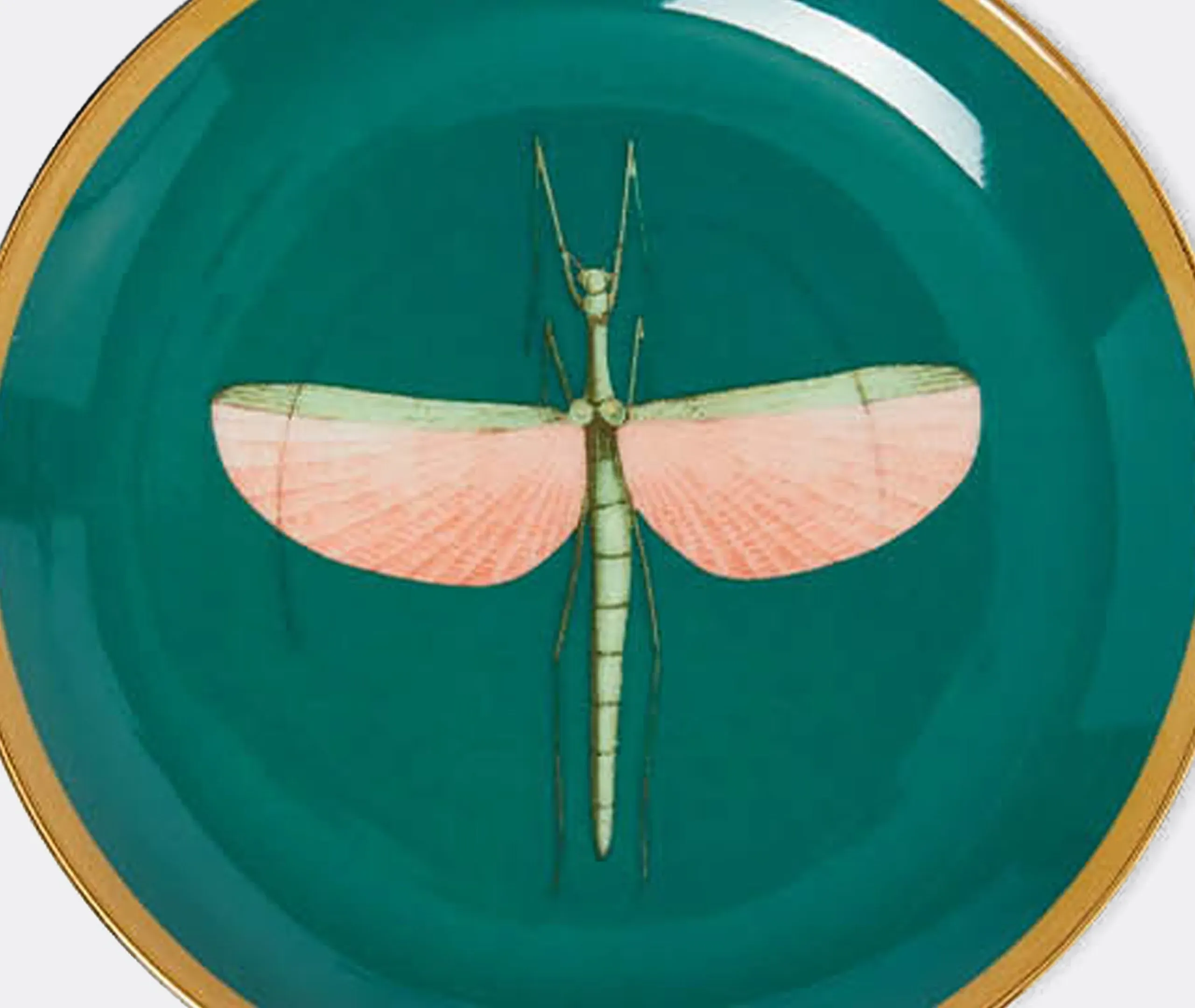 Mini Plate Set with Dragonfly Design - Green, Porcelain
