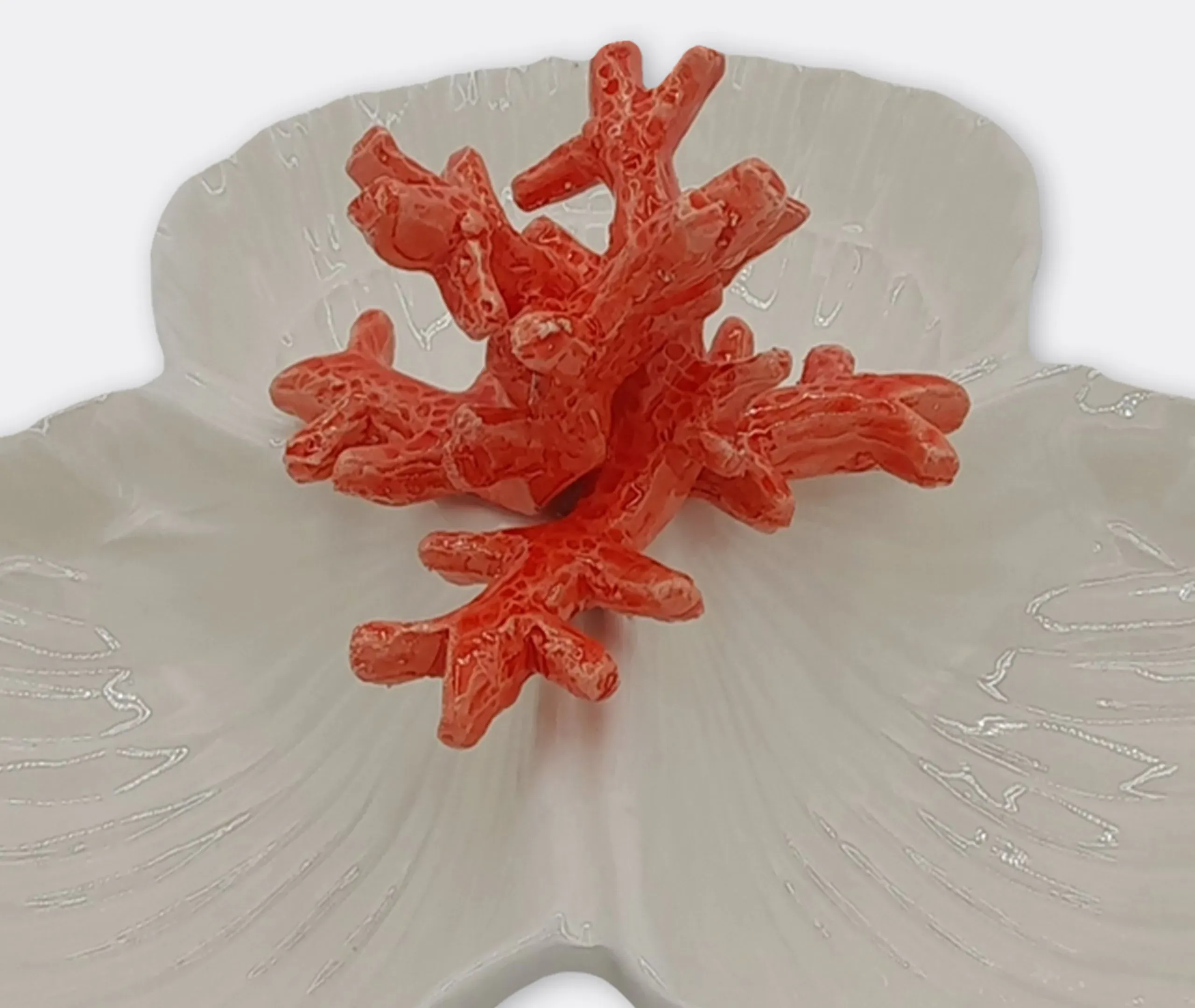 Coral Starter Plate - Multicolor, Porcelain