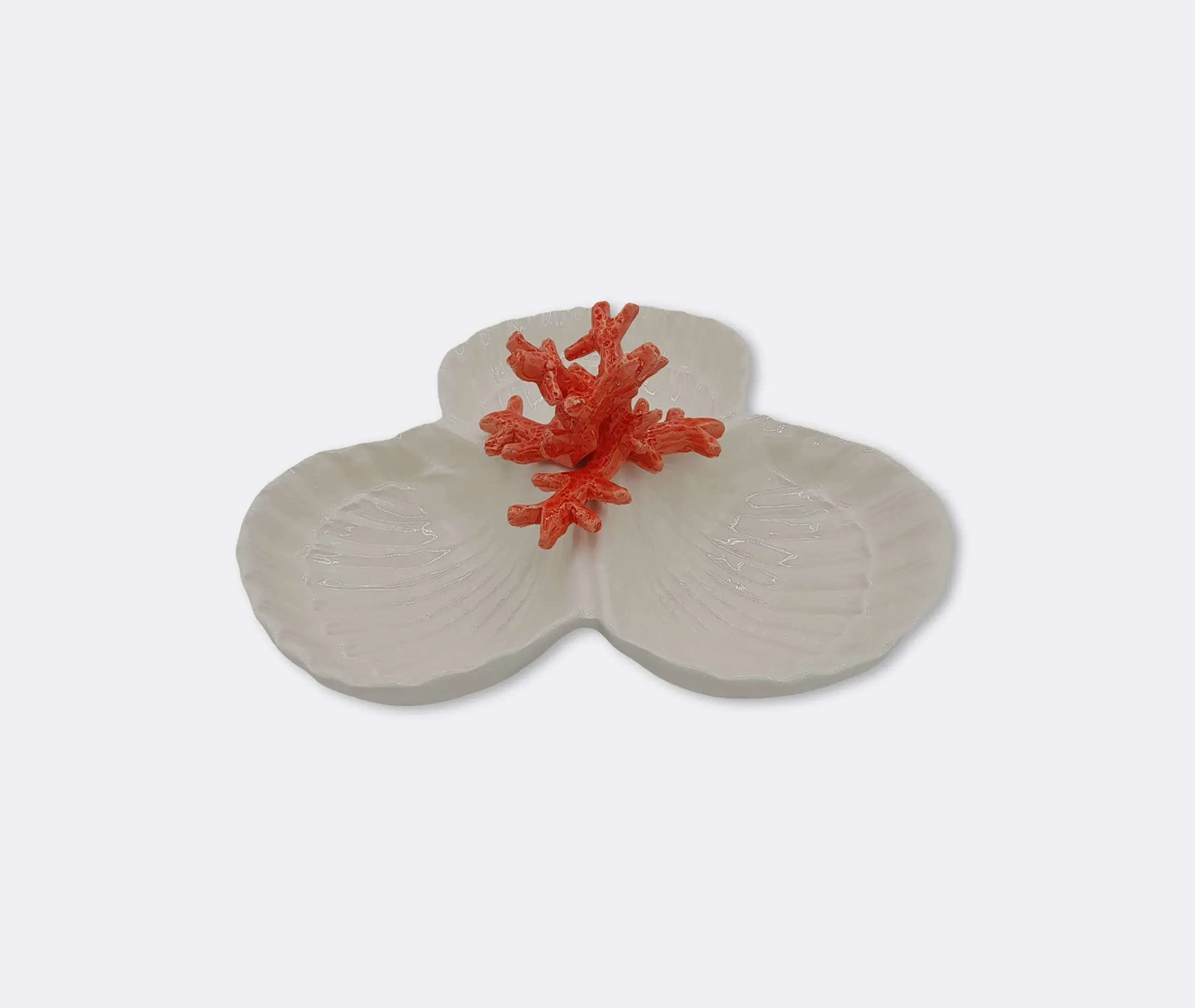 Coral Starter Plate - Multicolor, Porcelain