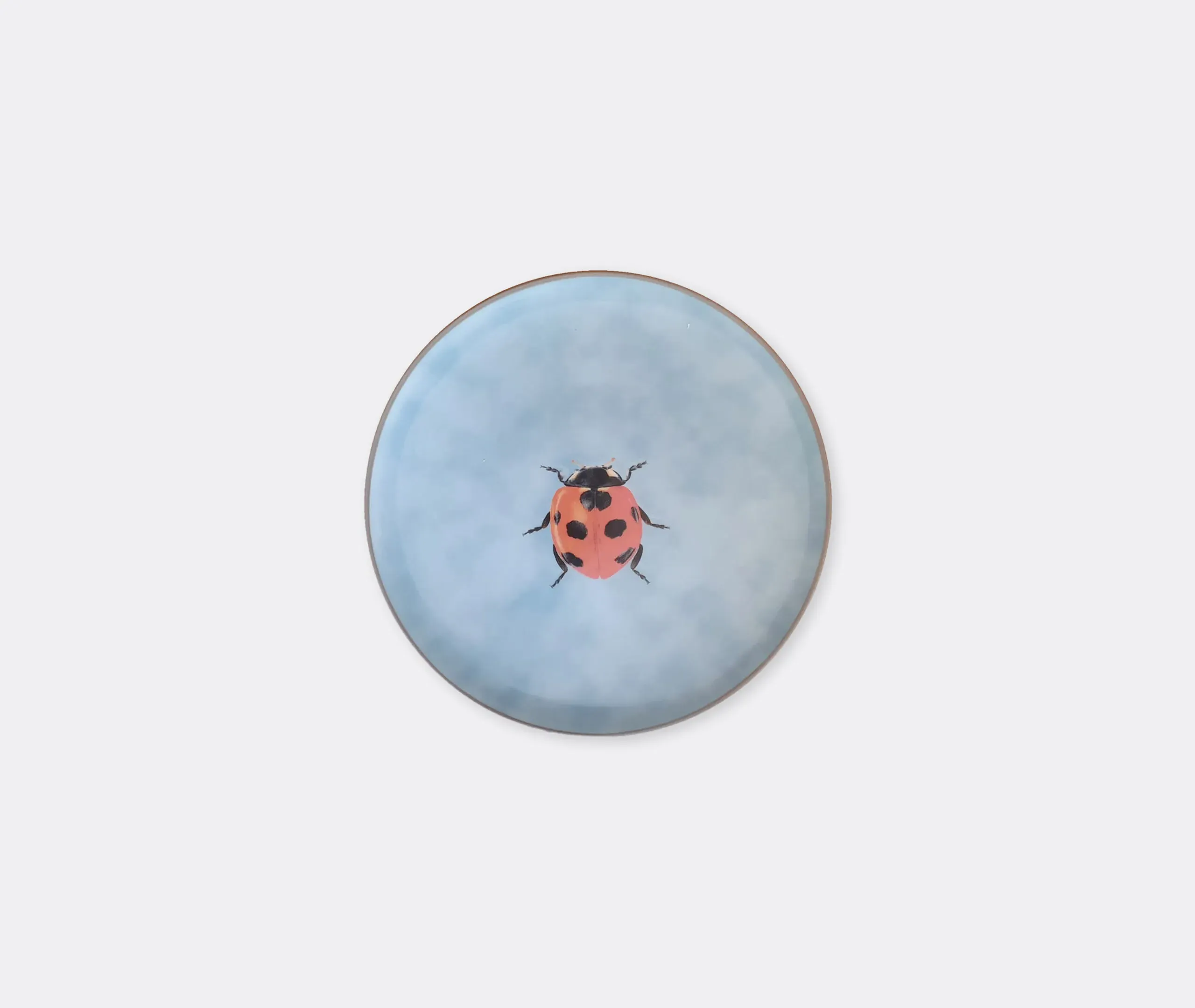 Insetti Ladybug Porcelain Plate - Turquoise product