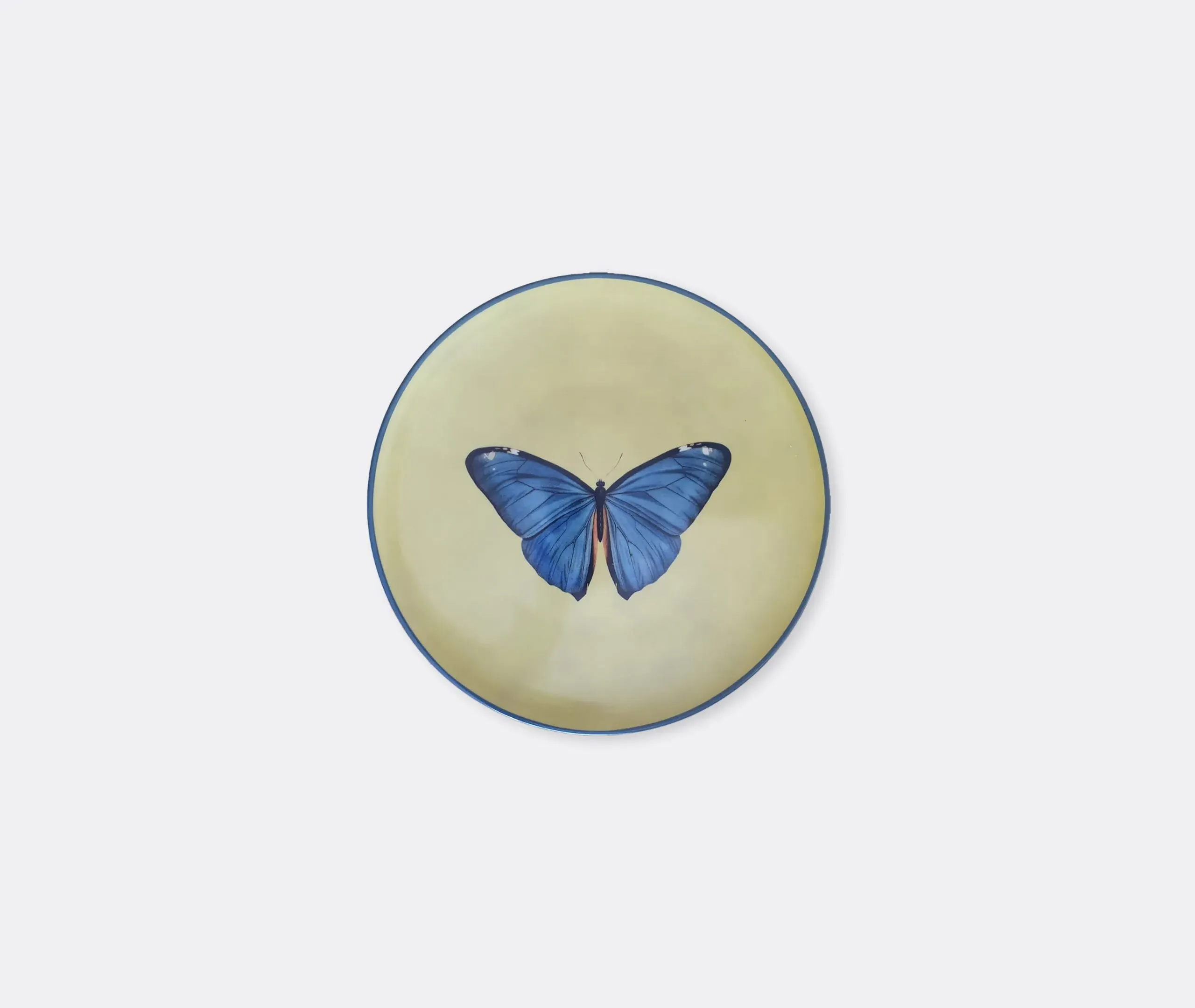 Insetti Porcelain Plate with Butterfly - Yellow