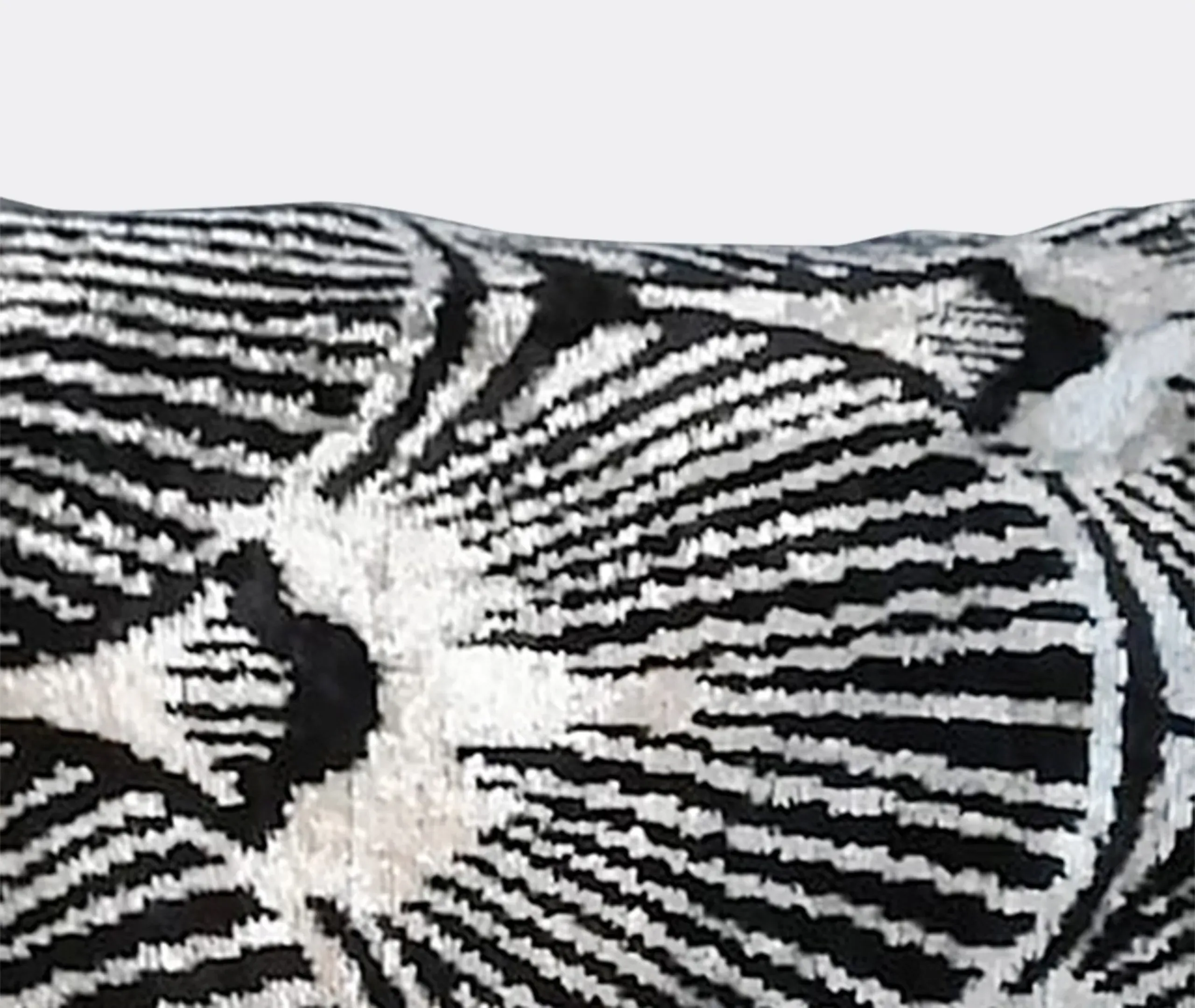 Silk Velvet Cushion - Black and White, Silk