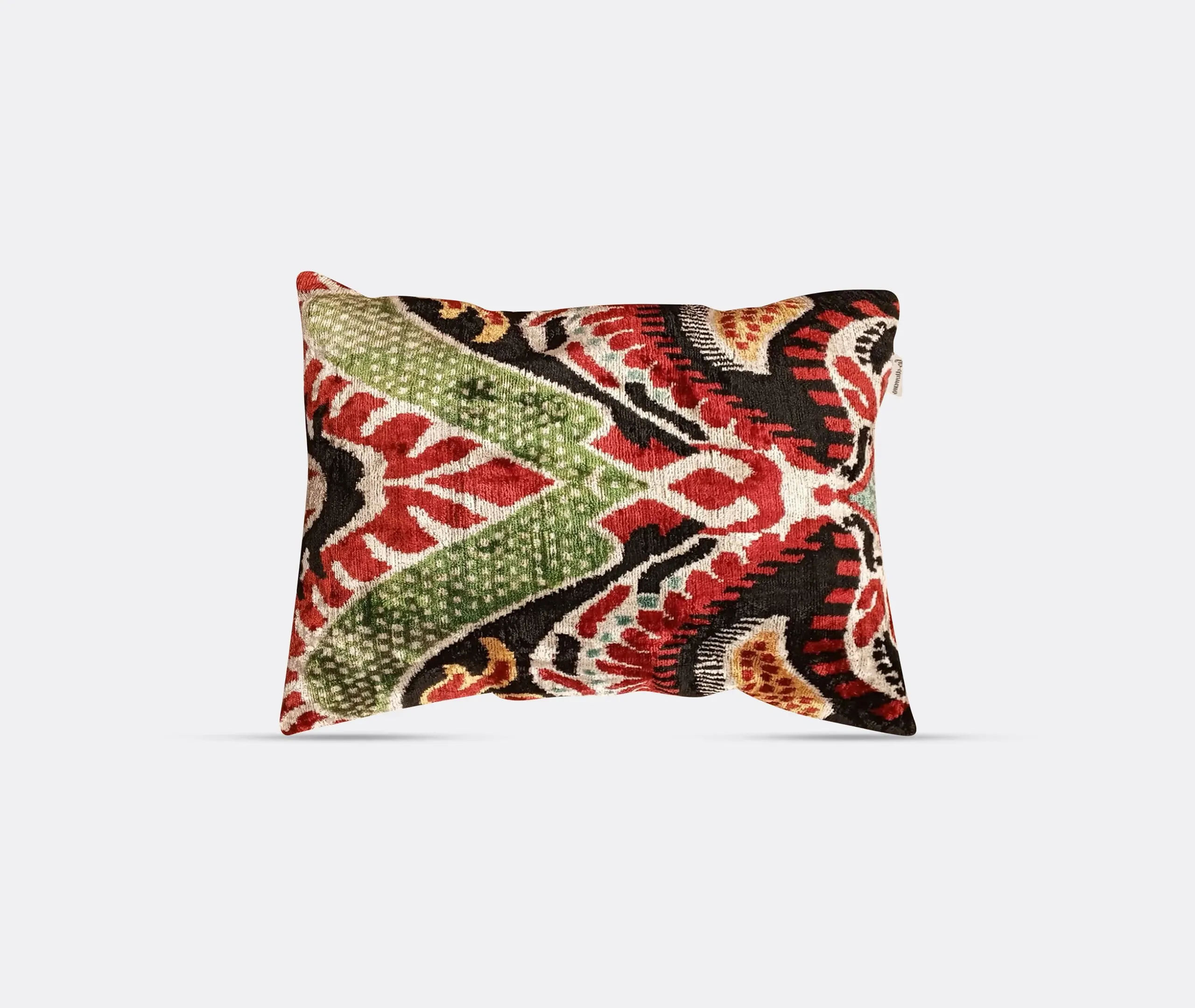 Silk Velvet Cushion with Botanical Pattern - Multicolor image
