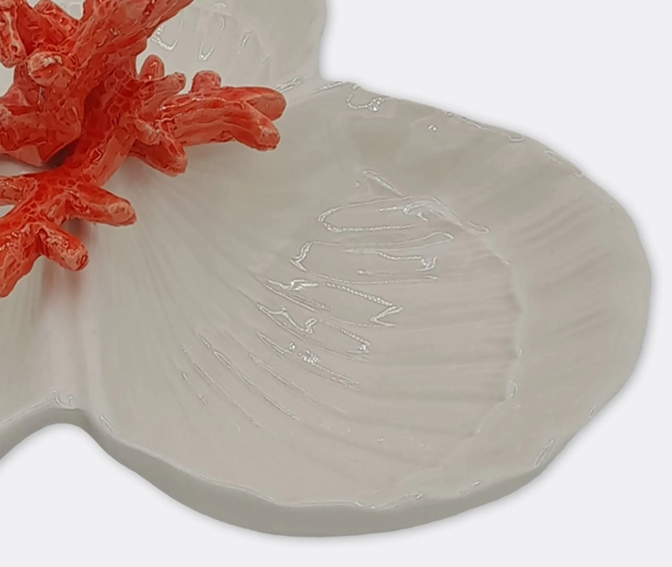 Starter Plate with Coral Design - Multicolor