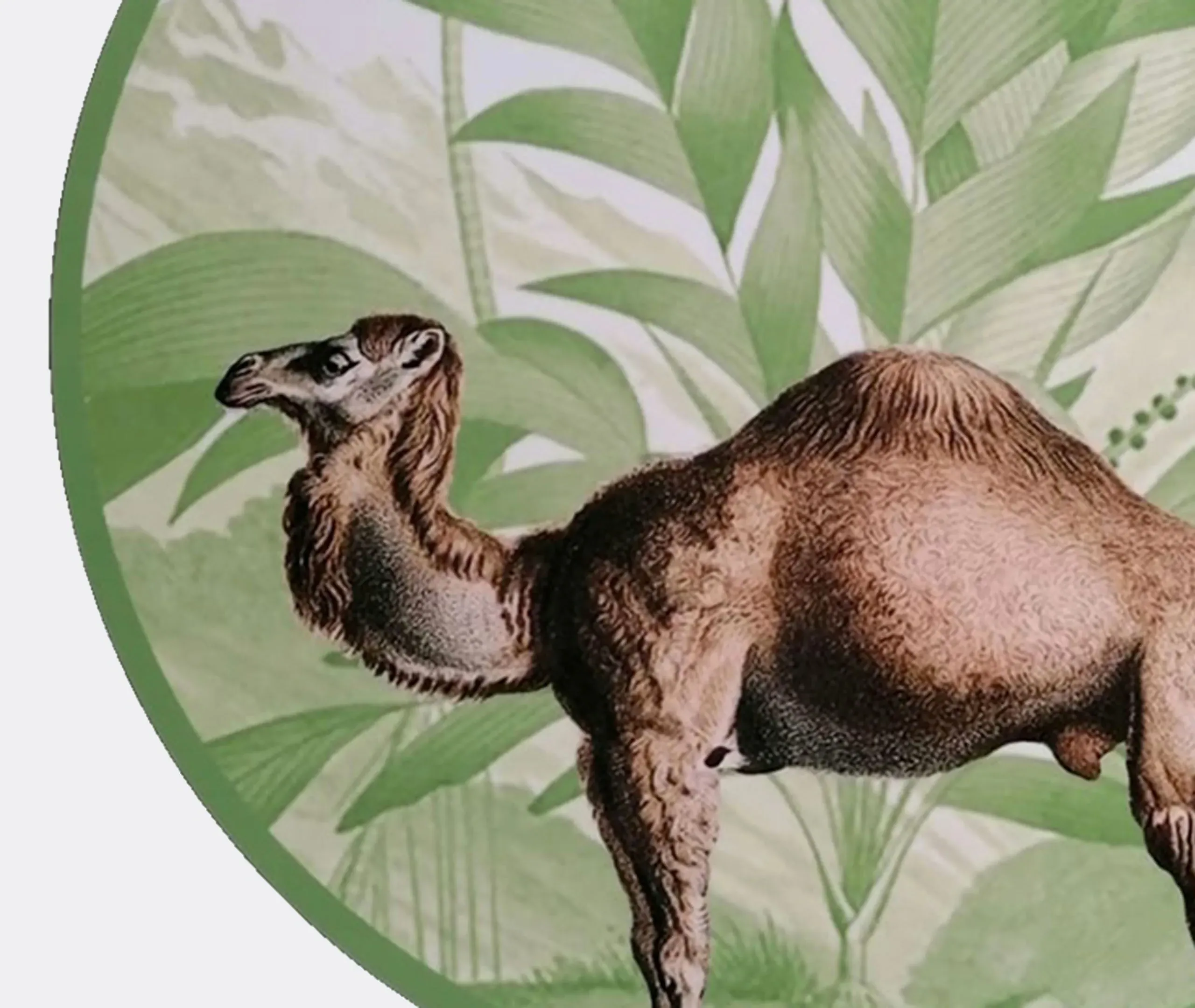 Wood Placemats Set of 4 - Multicolor