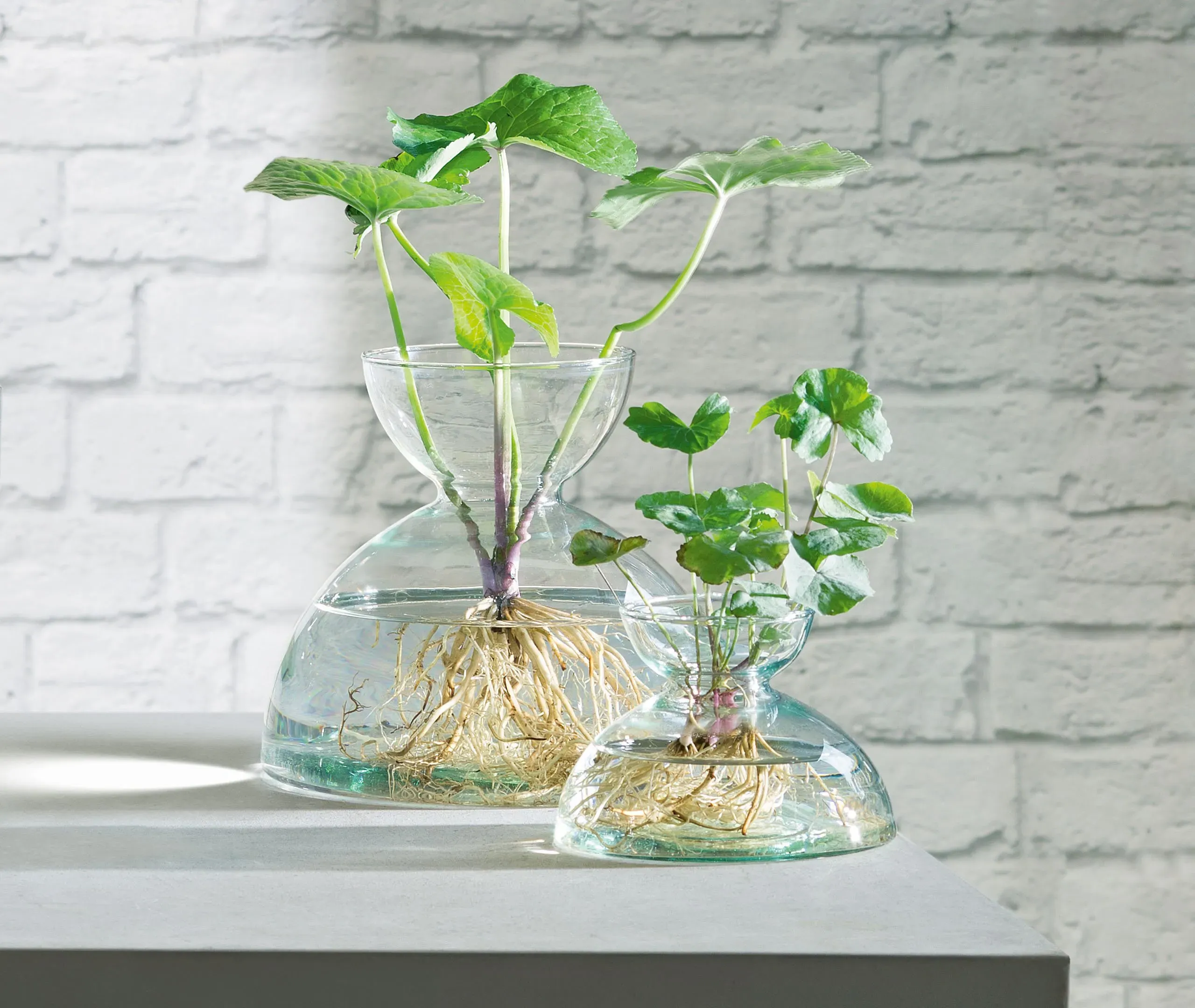 Medium Vase - Clear, Recycled Glass