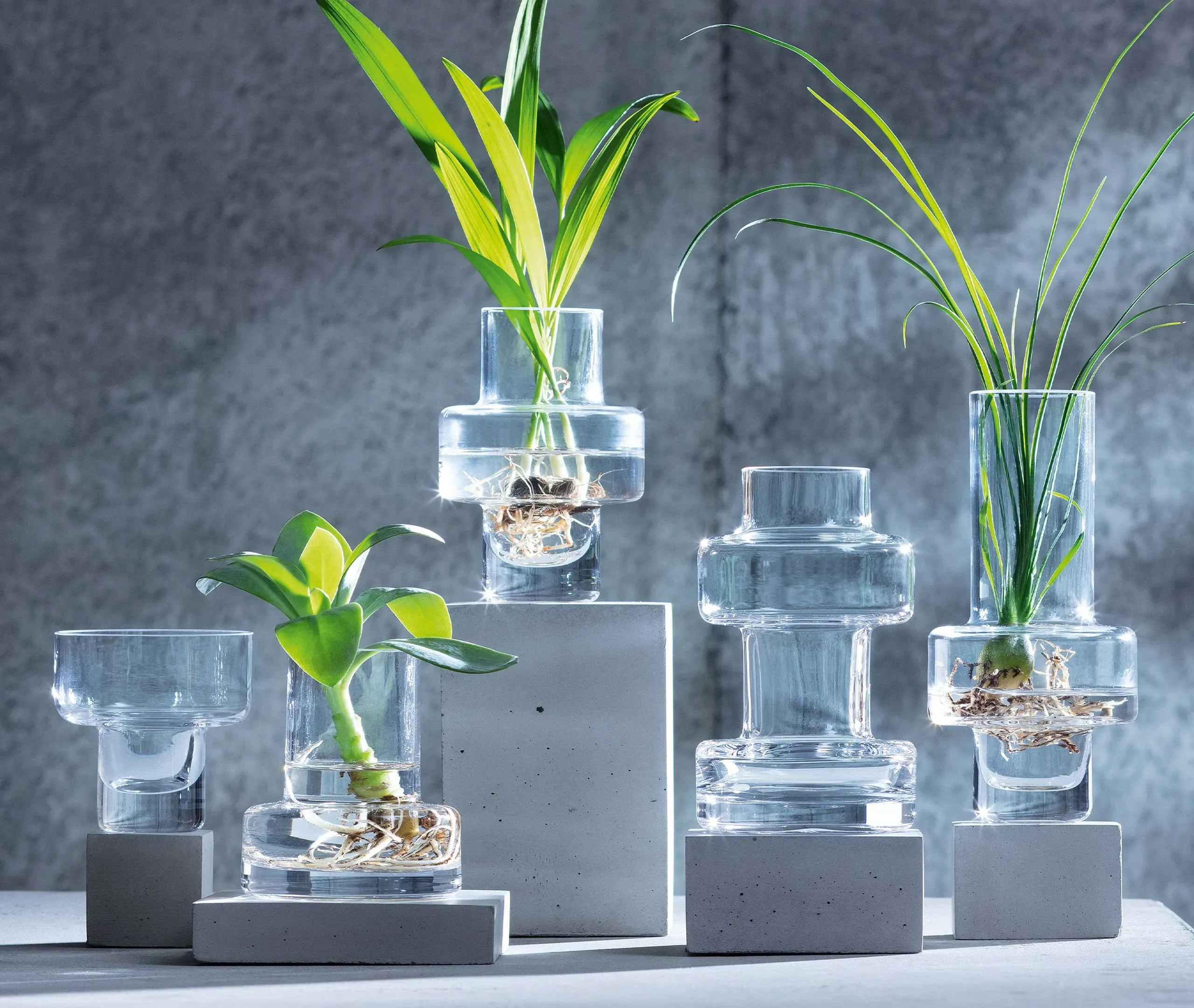 Mini Vase Set of 5 - Clear, Glass