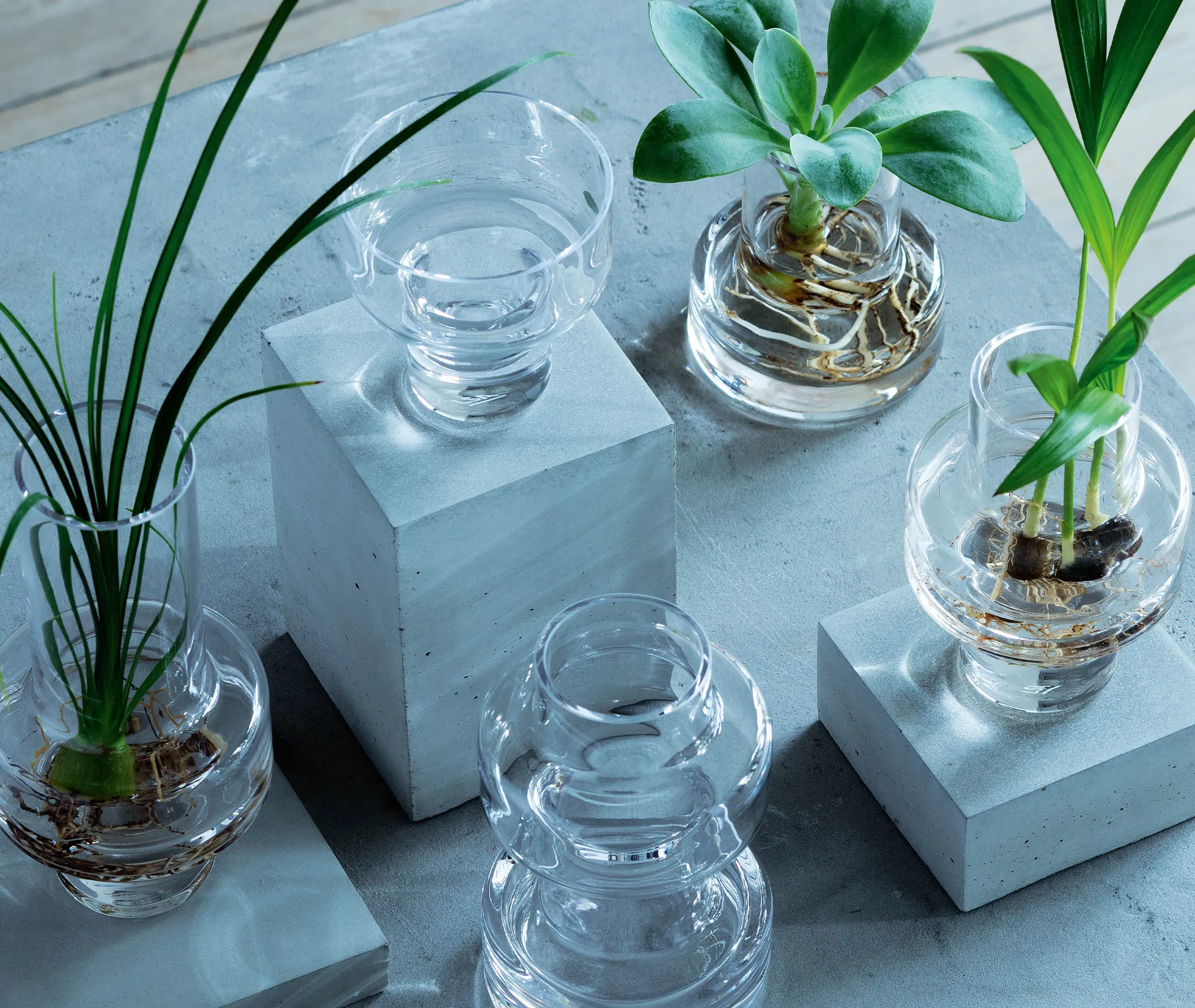 Mini Vase Set of 5 - Clear, Glass