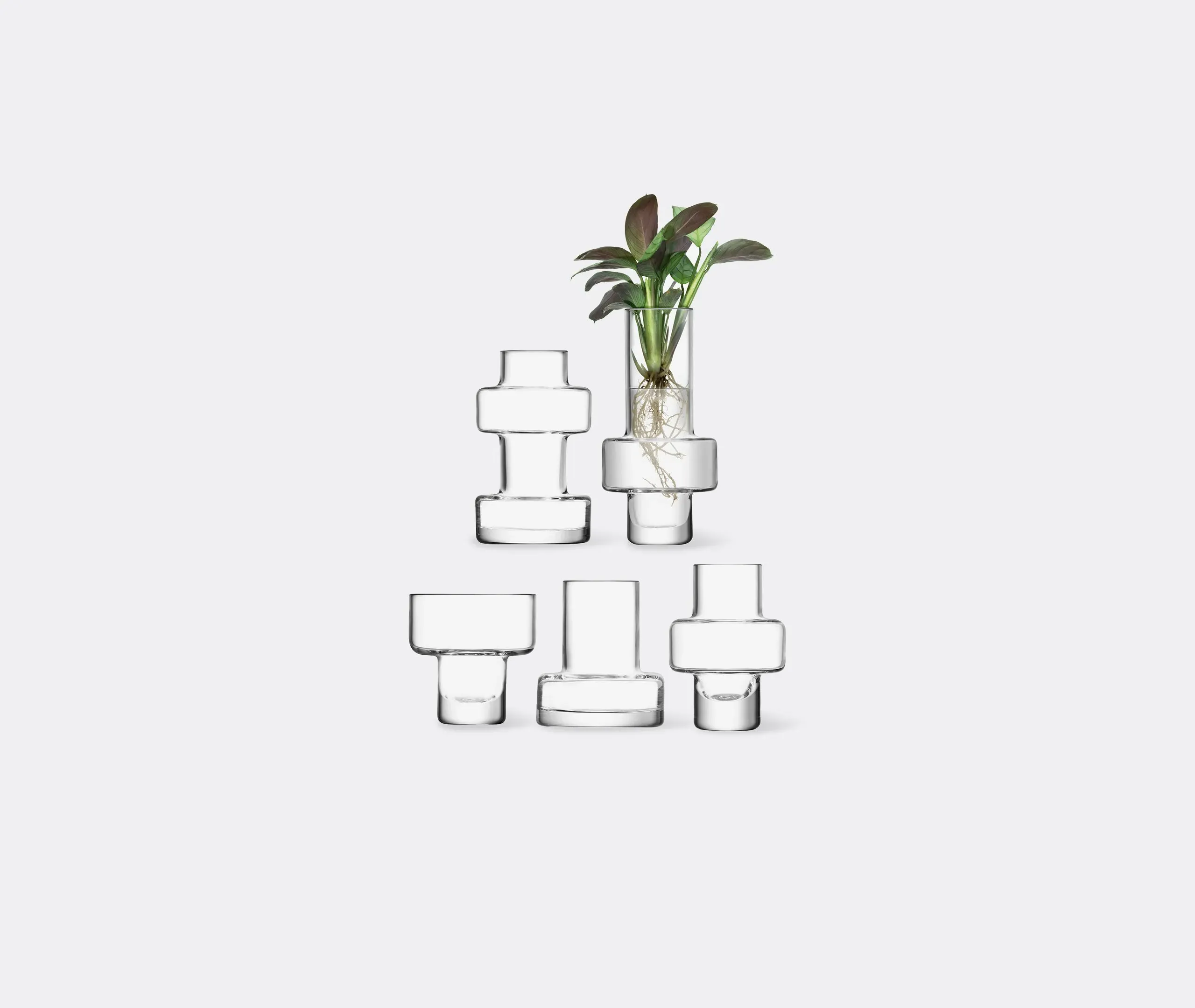 Mini Vase Set of 5 - Clear, Glass image