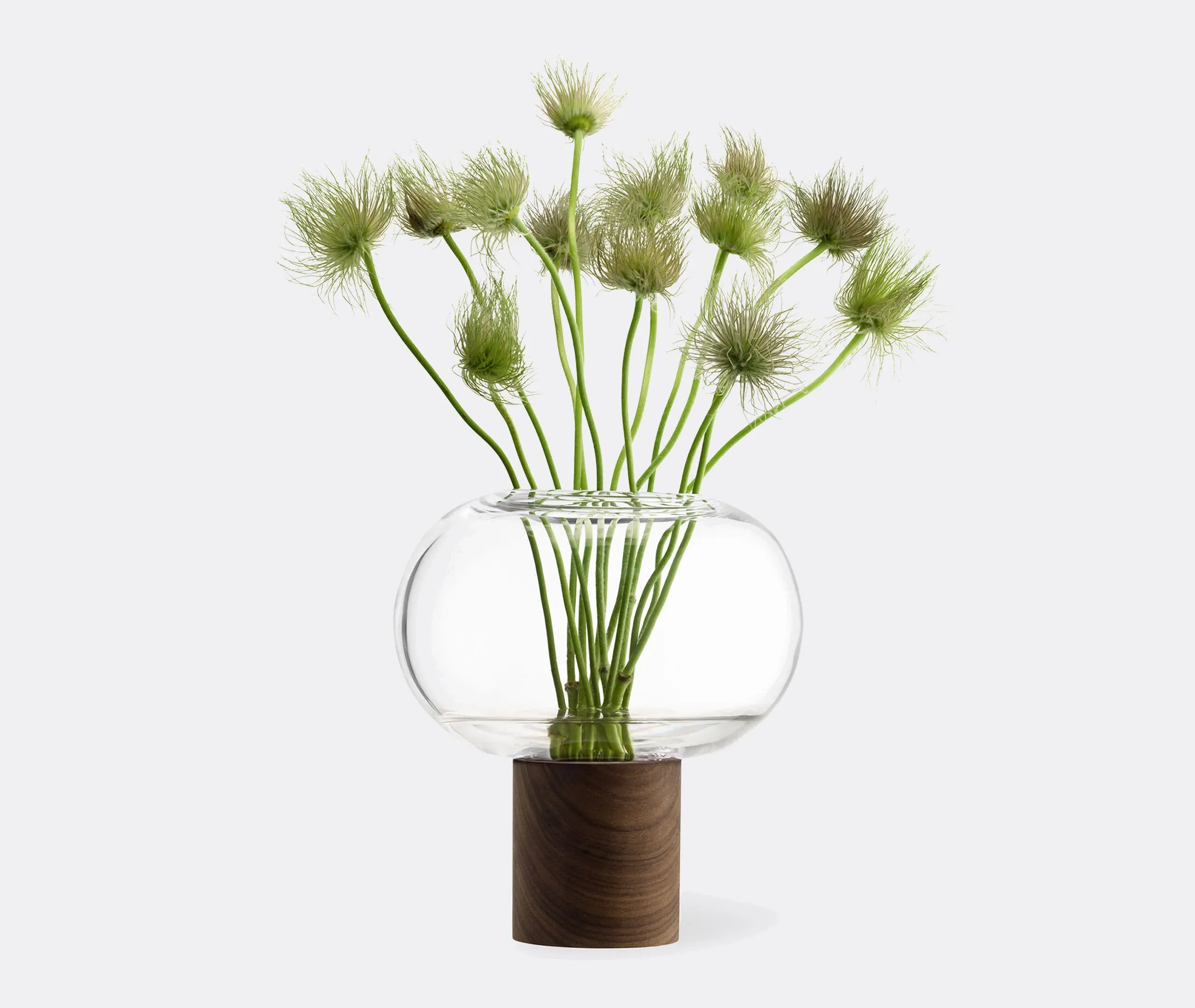 Oblate Medium Vase - Clear Glass, Walnut alternate view