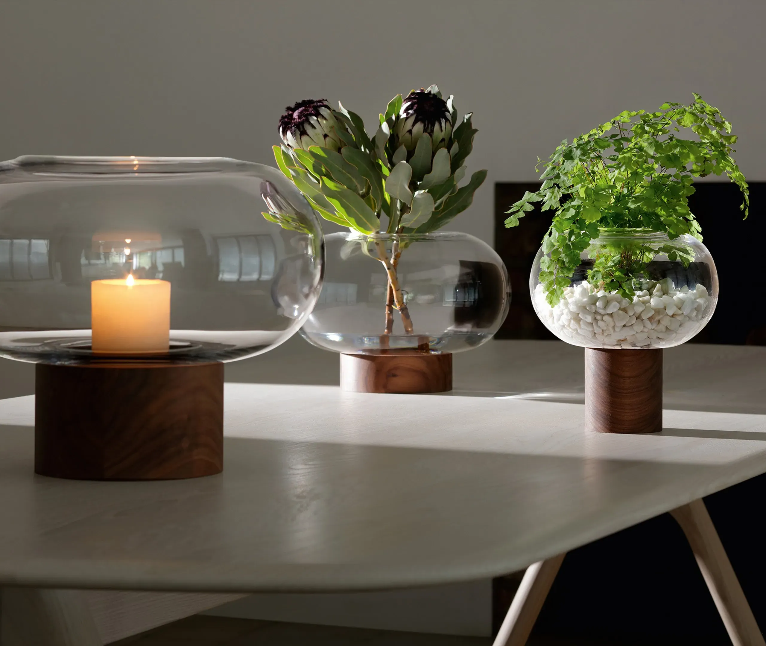 Oblate Medium Vase - Clear, Walnut