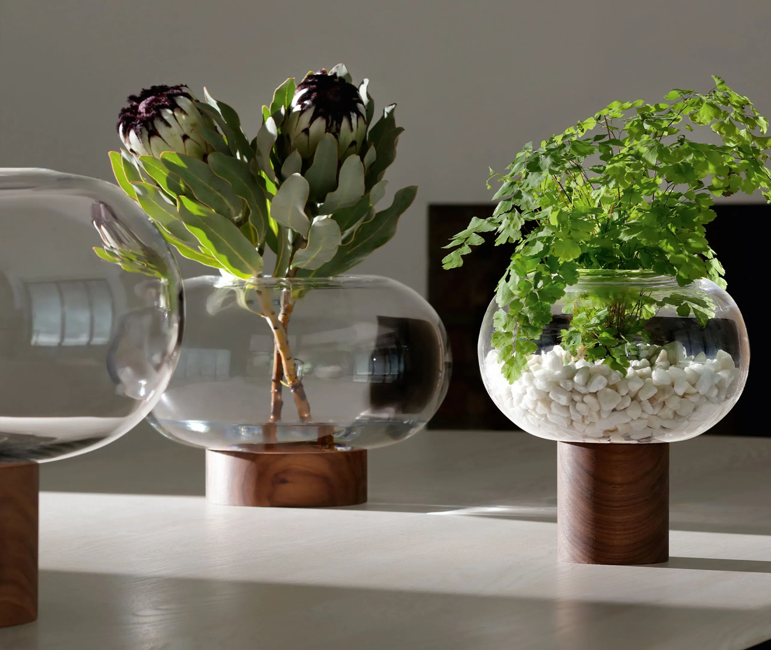 Oblate Wide Vase - Clear, Walnut