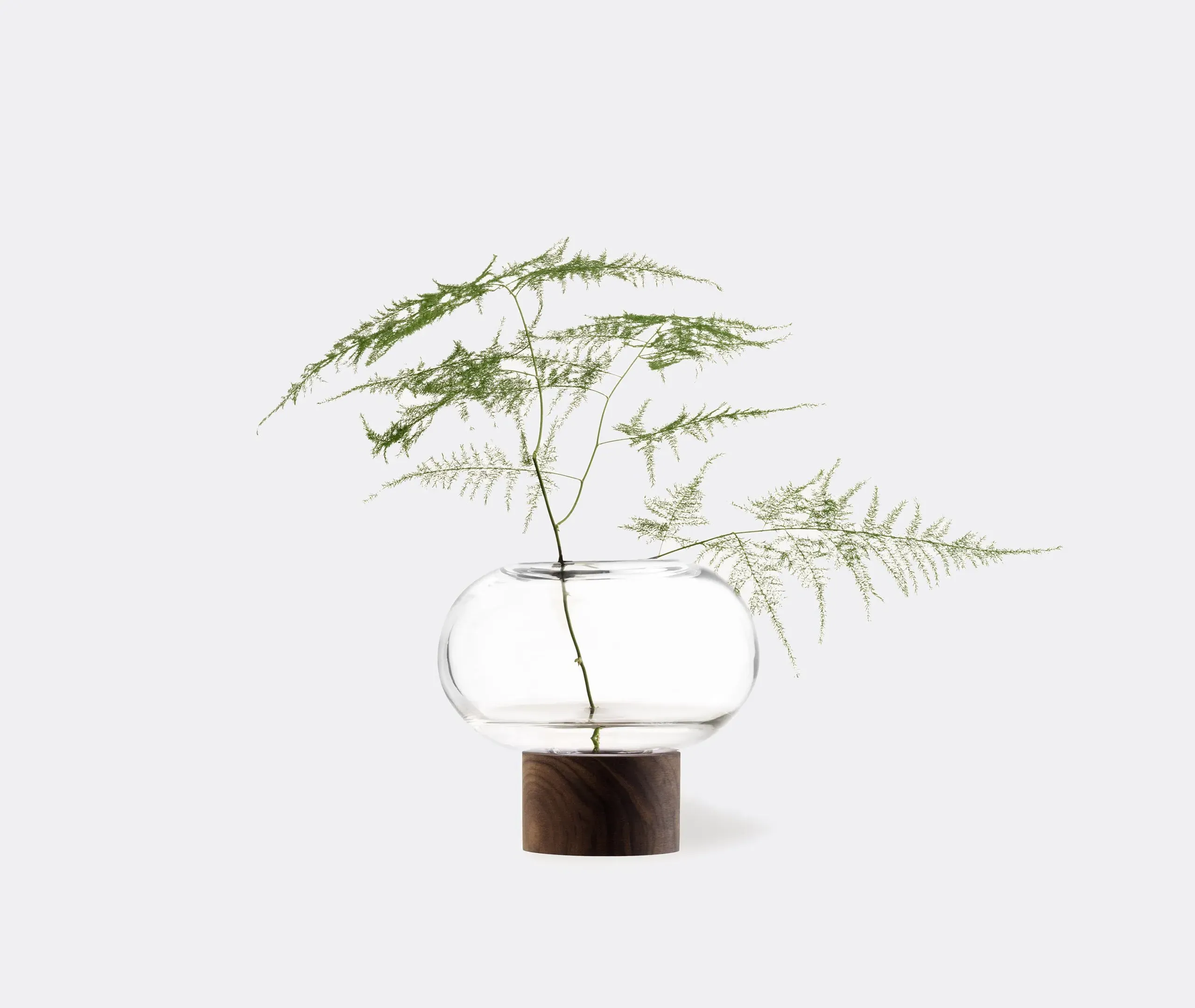 Small Oblate Vase with Walnut Base - Clear Glass