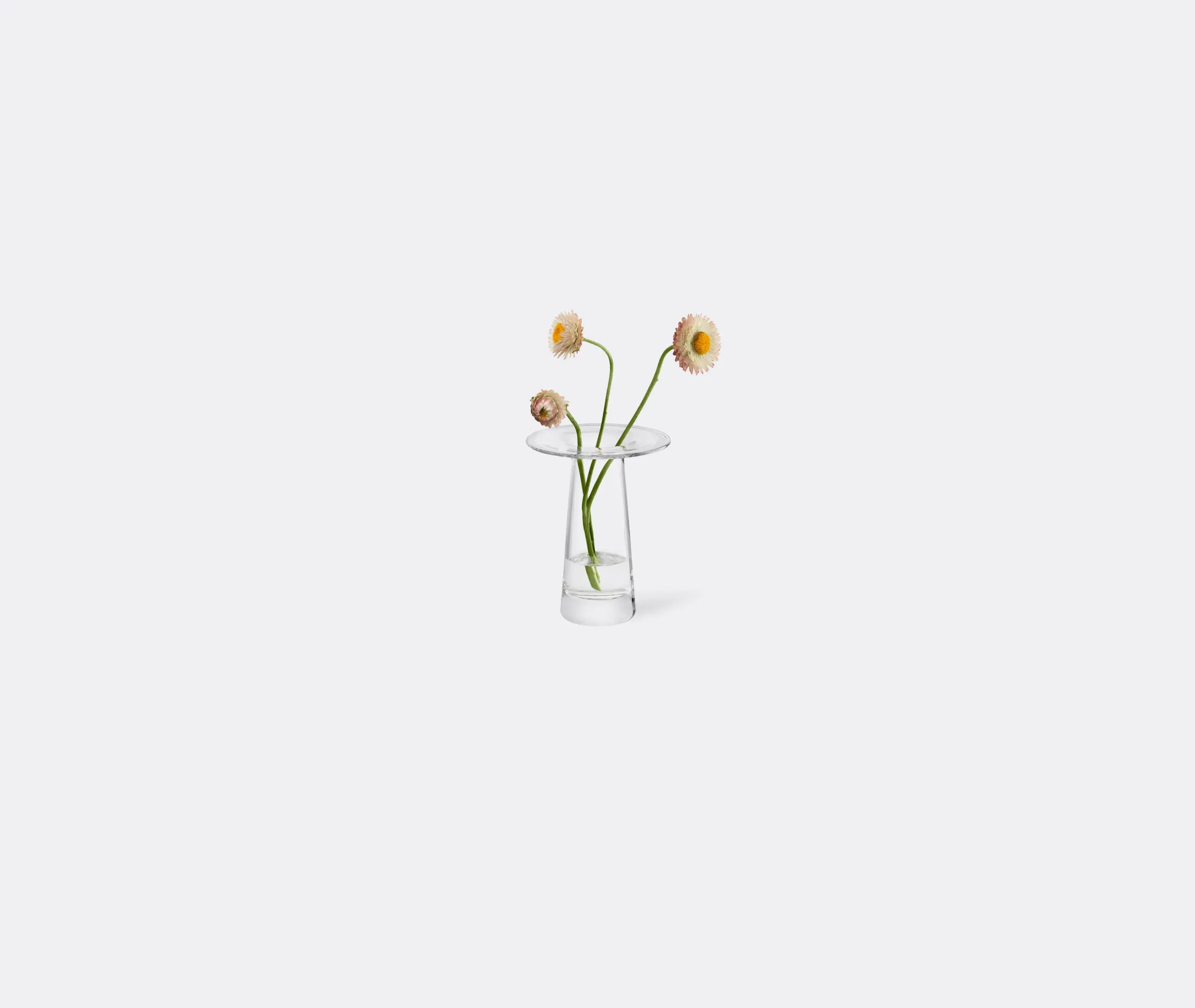 Victoria Small Vase - Clear Glass alternate view